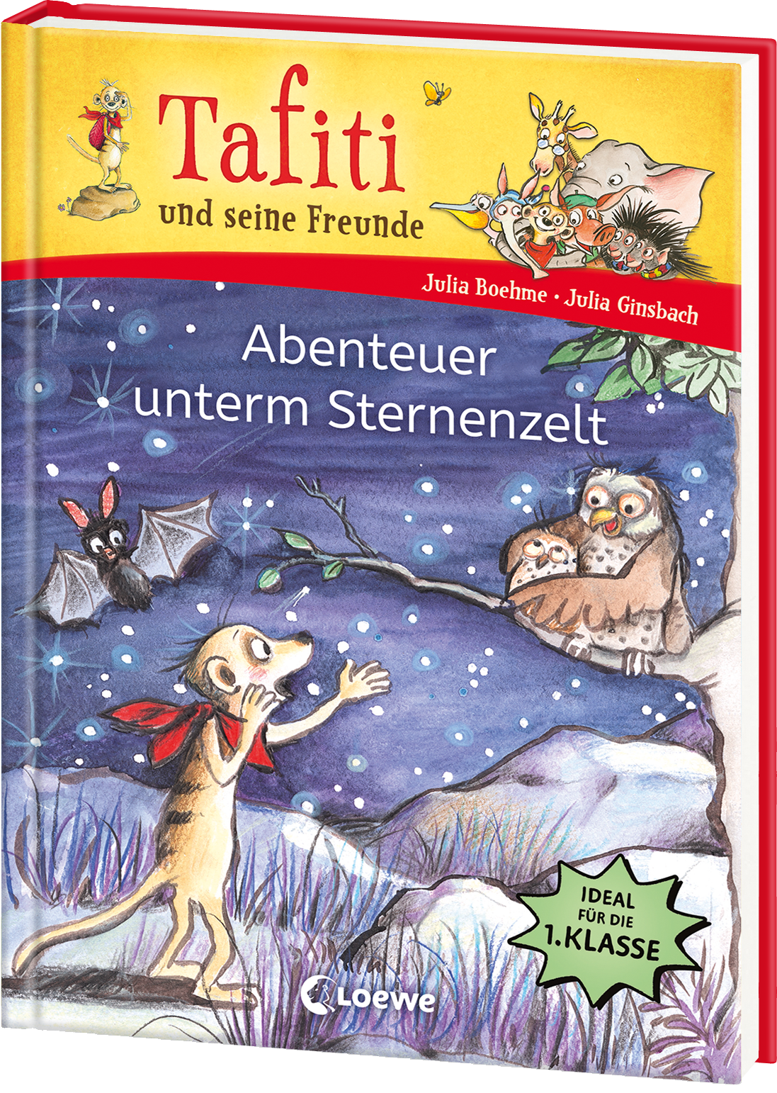 Tafiti und seine Freunde (Band 2) - Abenteuer unterm Sternenzelt 9783743220997