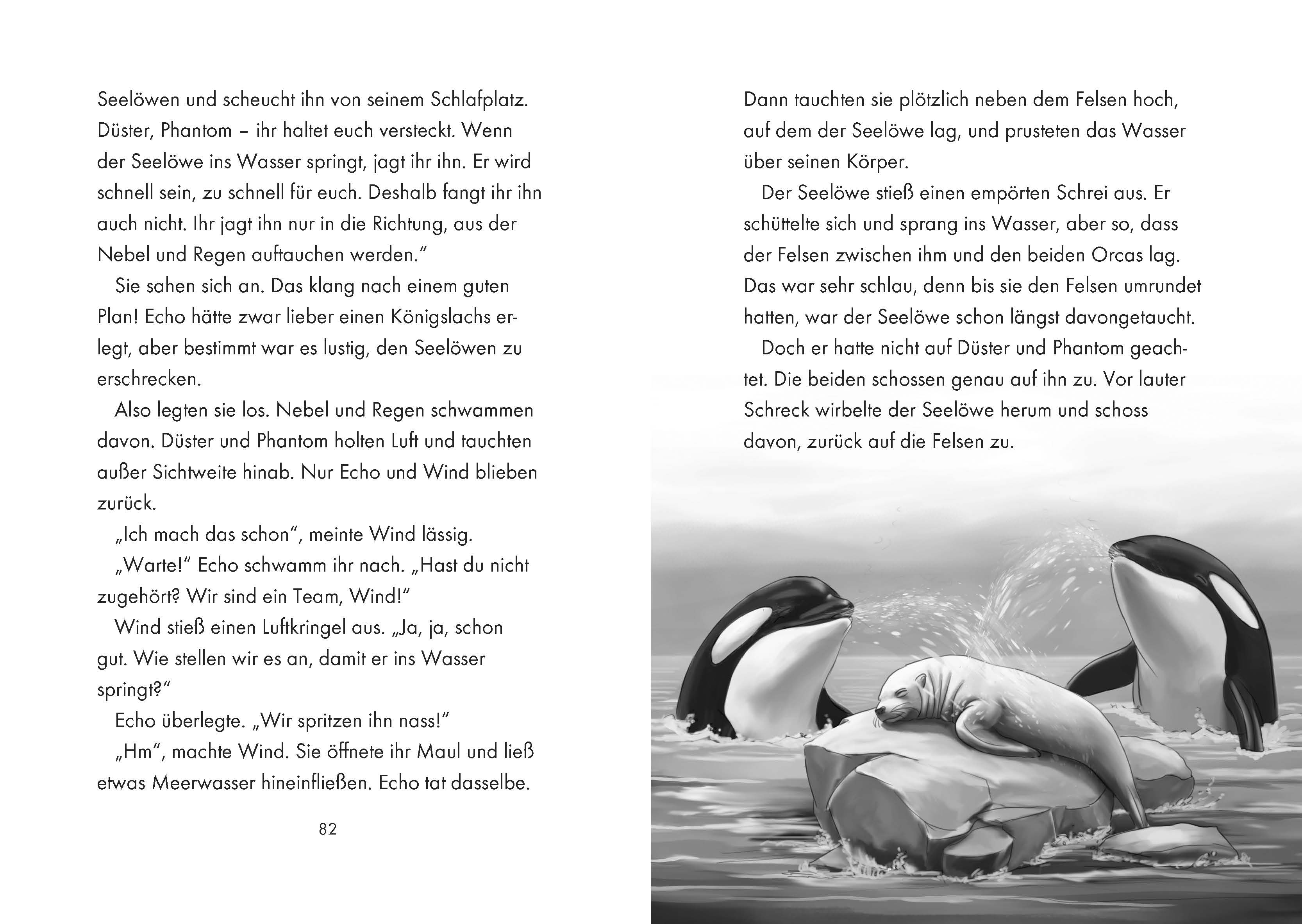 Meer; Innenseite Das Geheime Leben der Tiere