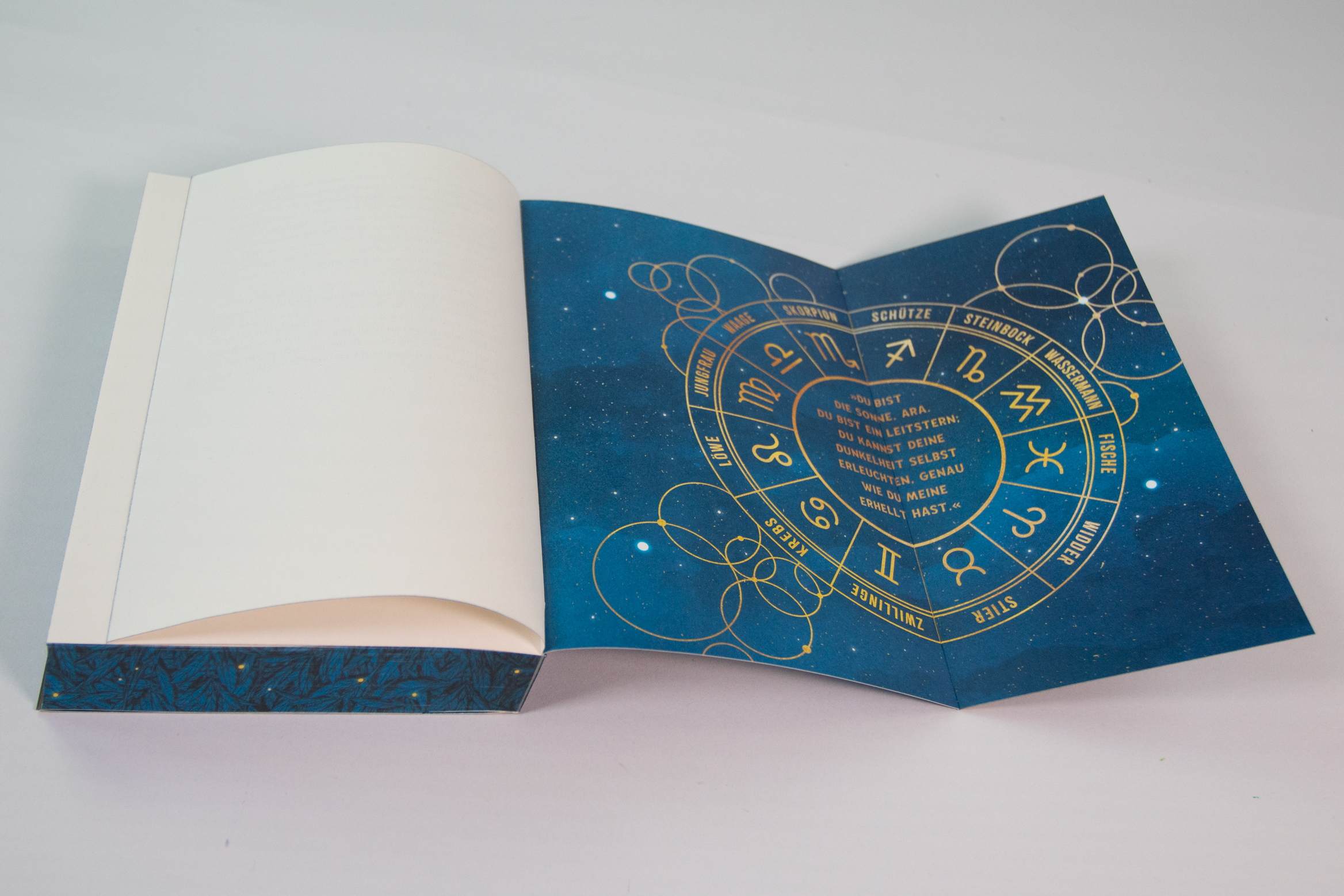 Die Spiele der Unsterblichen 9783743213272_6 Die Spiele der Unsterblichen 9783743213272_6