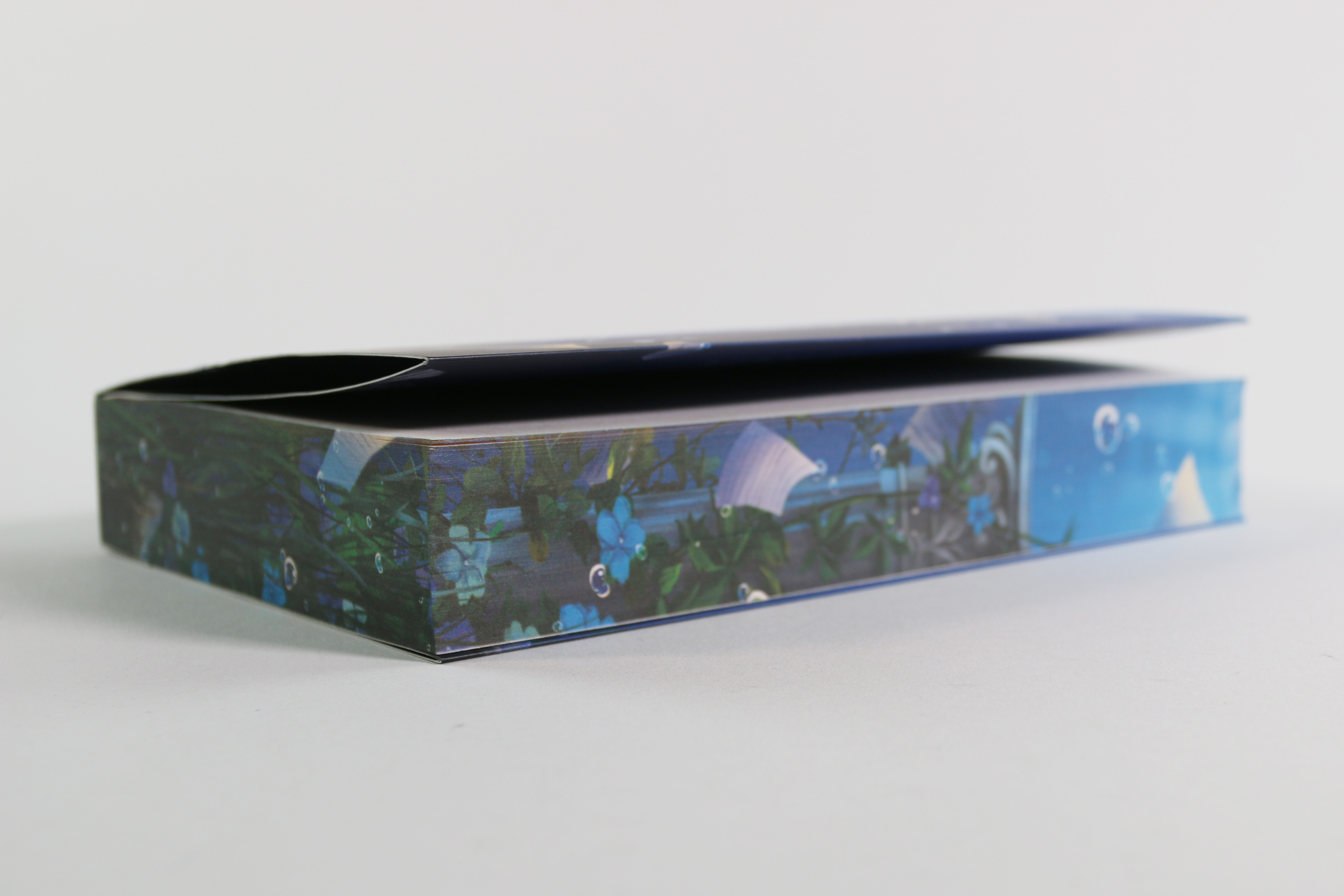 A Theory of Dreaming (A Study in Drowning, Band 2) 9783743223042_04