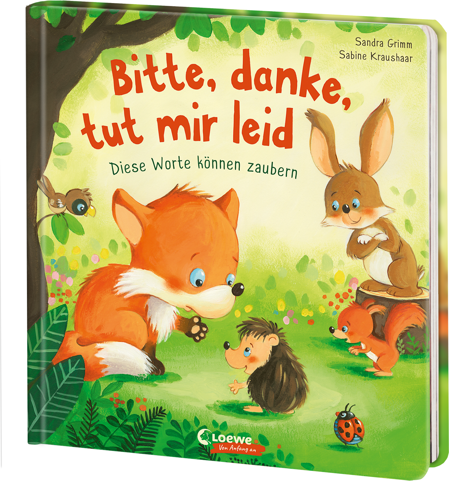 Bitte, danke, tut mir leid 9783743205338