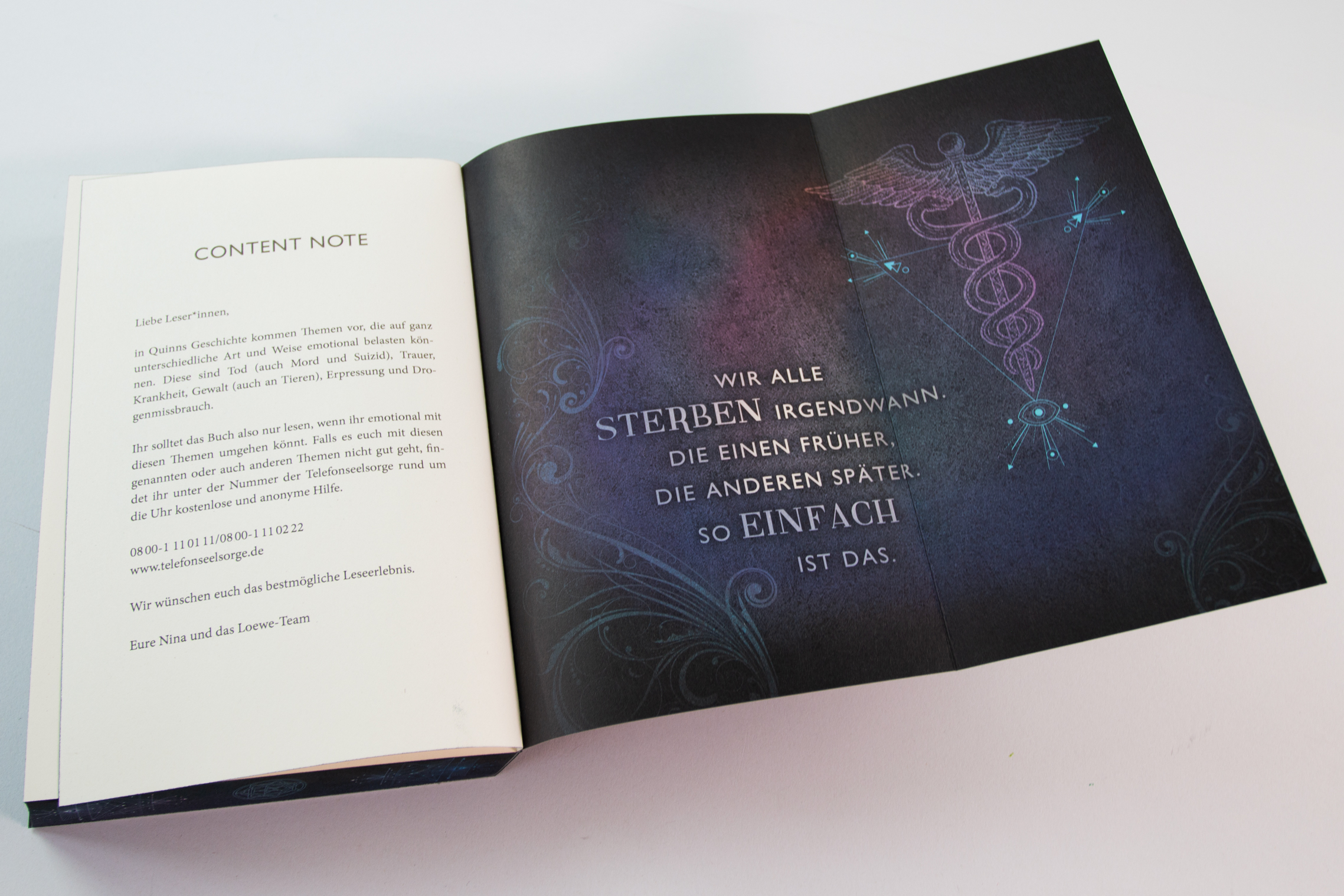Academy of Lies (Band 1) - Anatomie einer Verschwörung 9783743218413_5