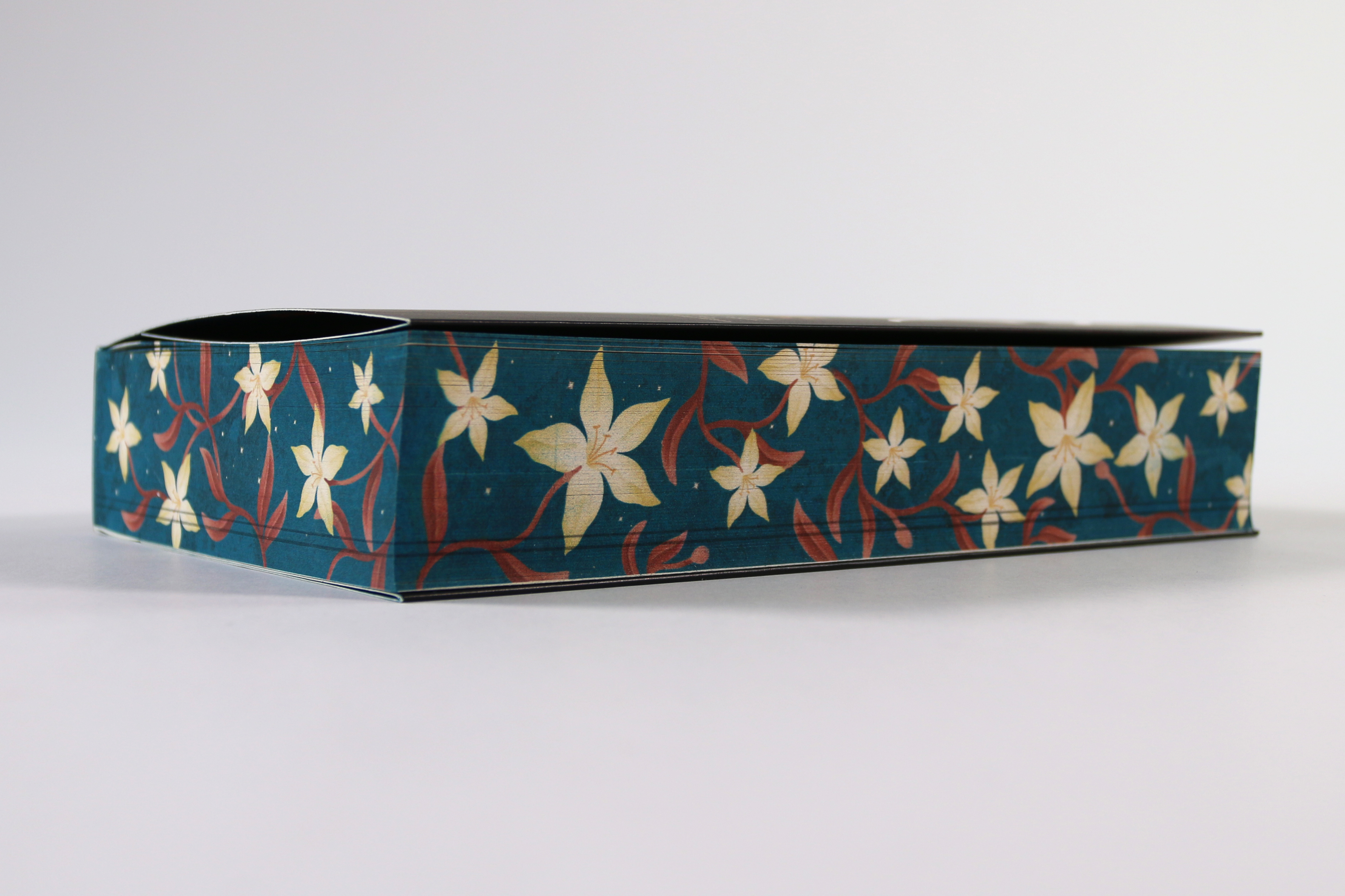 Prison Healer (Band 1) - Die Schattenheilerin 9783743225787_05