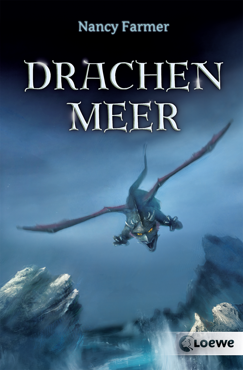 Drachenmeer 9783732011698