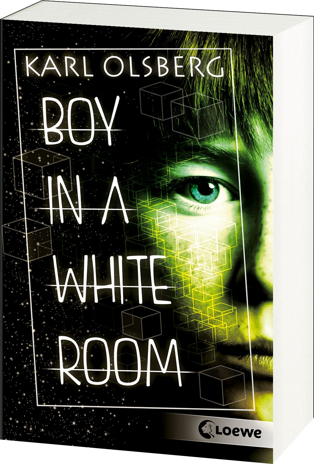 Boy in a White Room 9783743203648