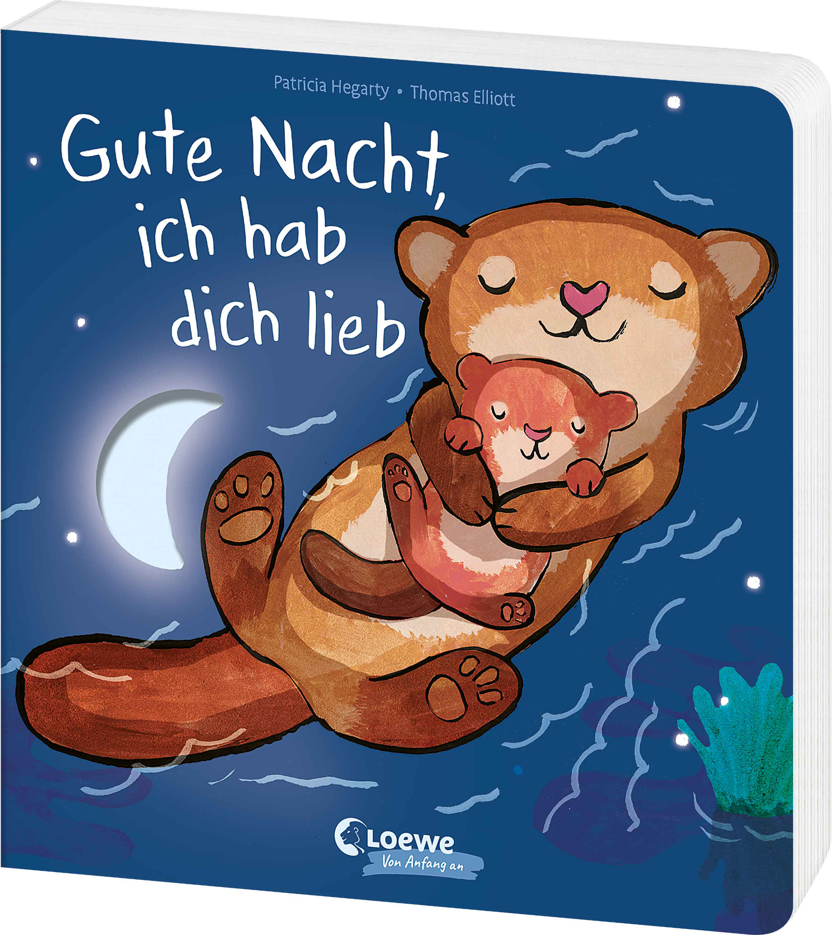 Gute Nacht, ich hab dich lieb 9783743222915