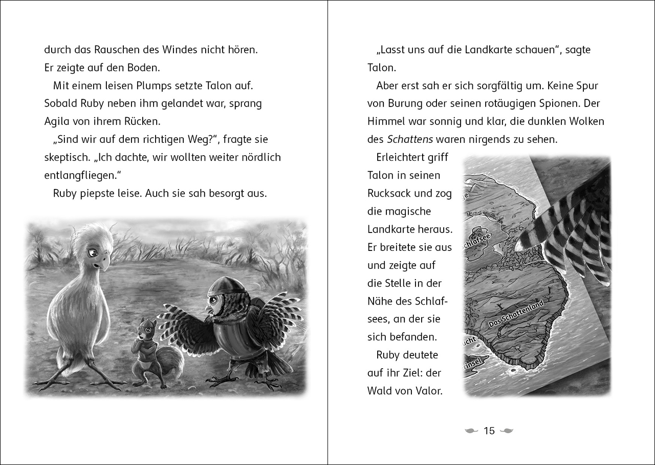 Der letzte Feuerfalke und das Schattenland (Band 5) 9783743214651_2