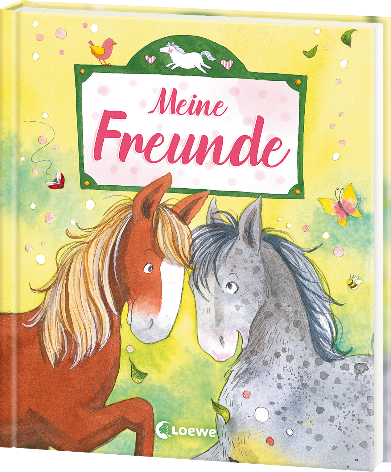 Meine Freunde (Ponys) 9783743203051