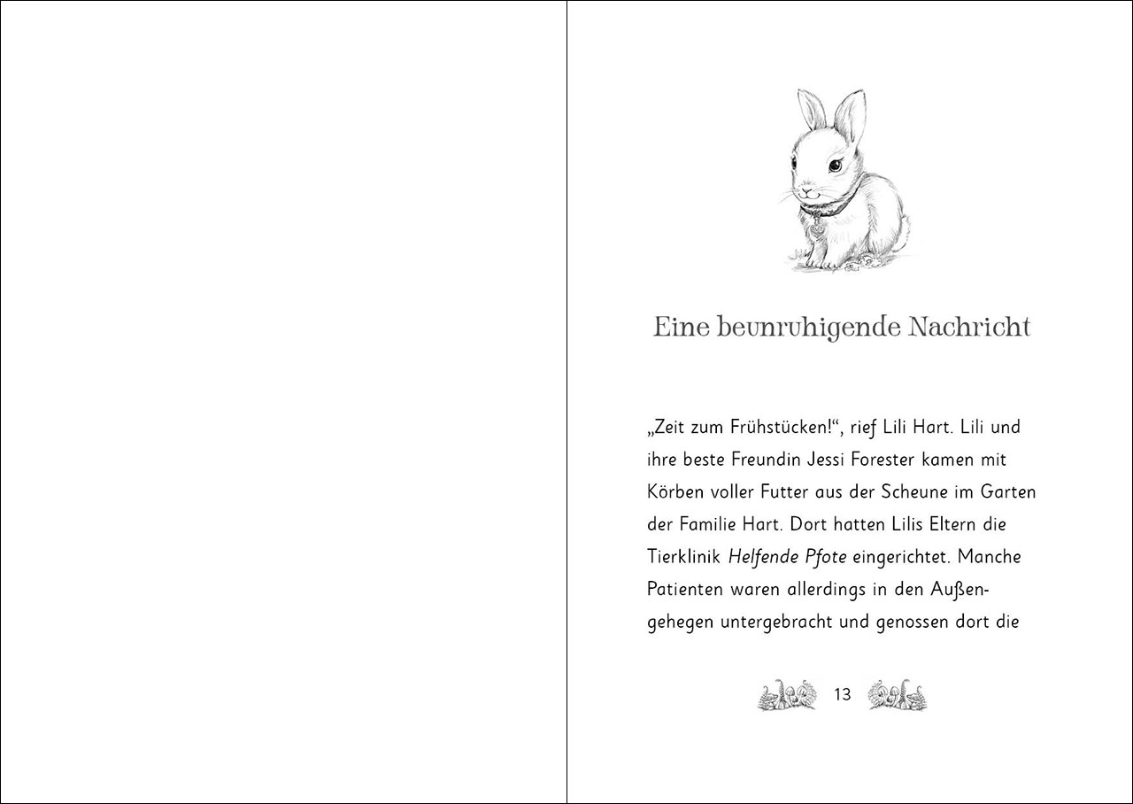 Die magischen Tierfreunde (Band 21) - Mimi Möhrchen rettet die magischen Kristalle 9783743216839_4