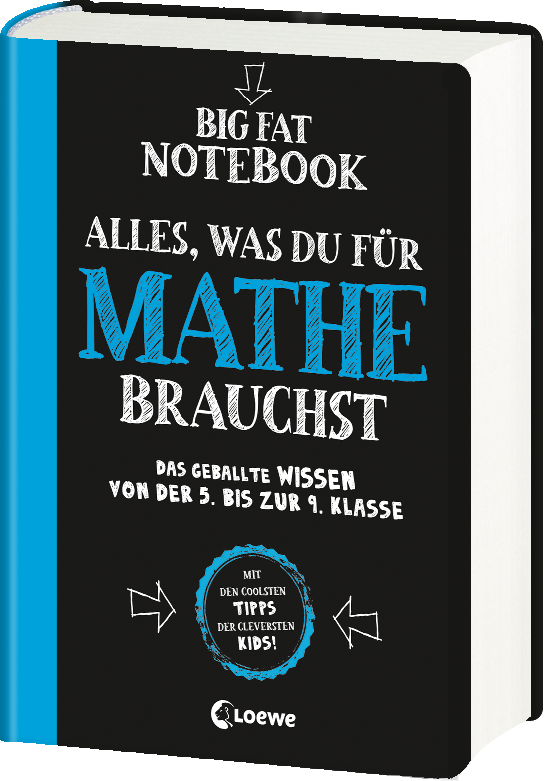 Big Fat Notebook - Alles, was du für Mathe brauchst 9783743204164