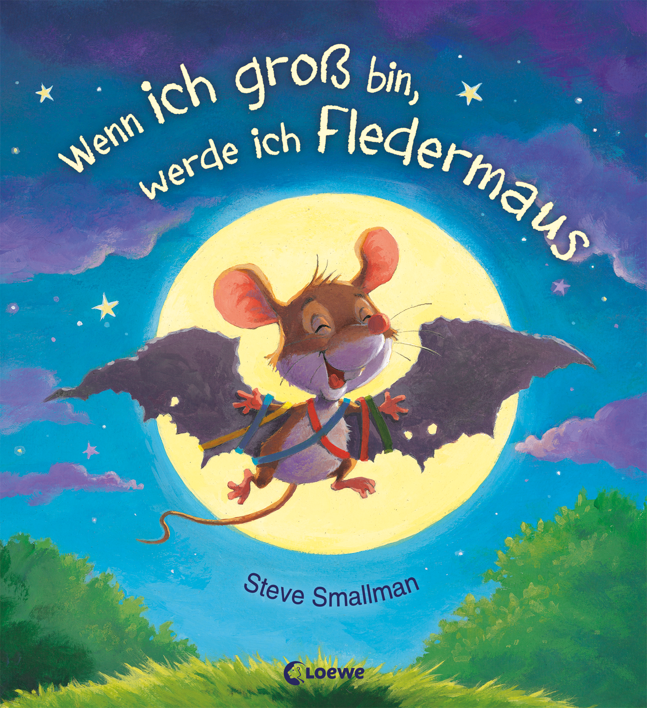 Wenn ich groß bin, werde ich Fledermaus 9783785582848