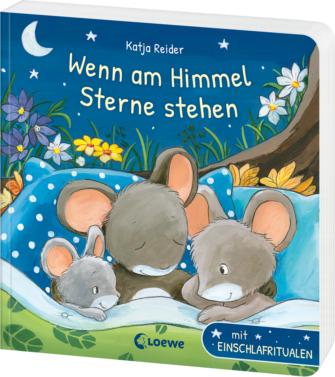 Wenn am Himmel Sterne stehen  9783743200883