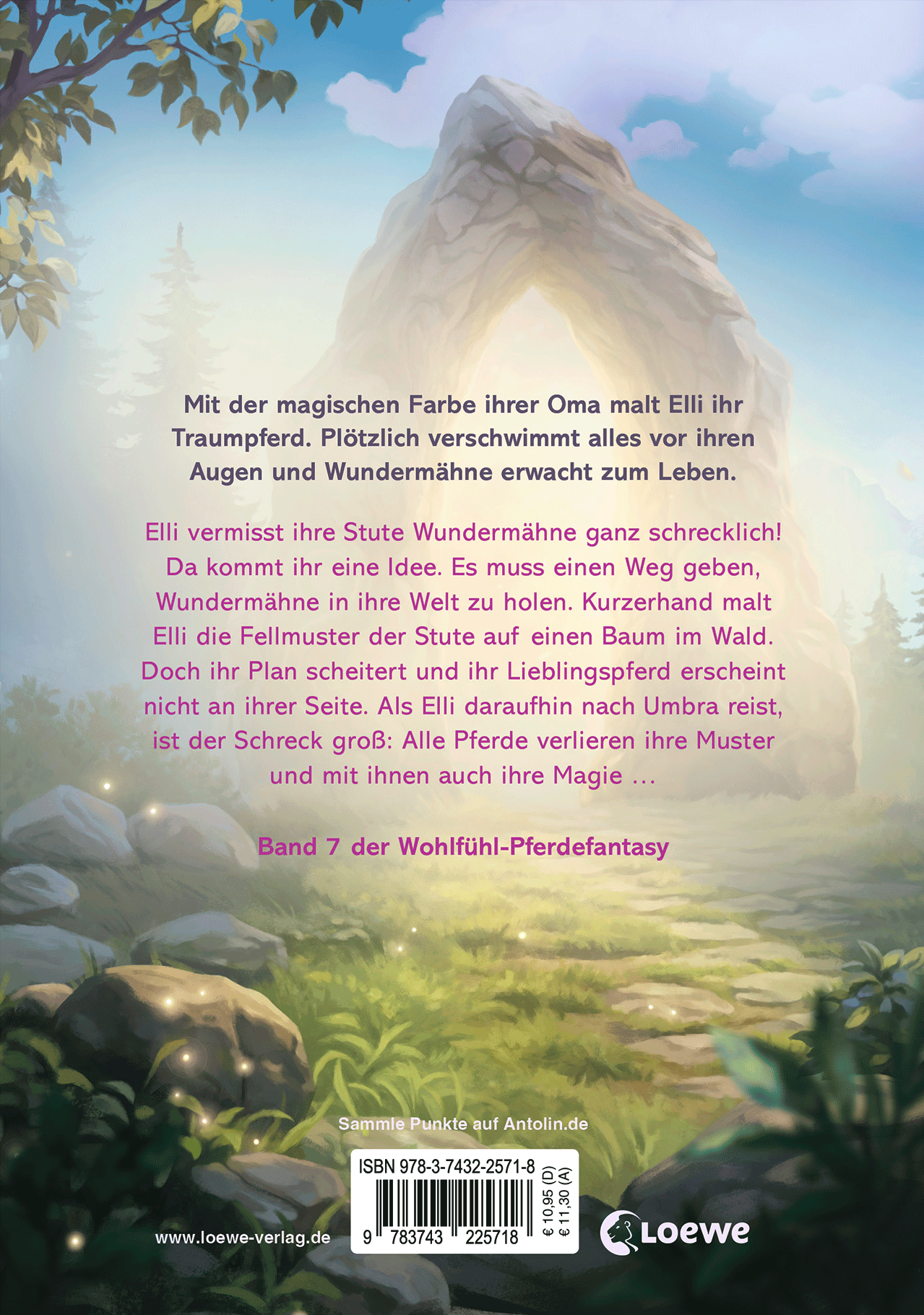 Wundermähne (Band 7) - Der magische Herzenswunsch 9783743225718_01