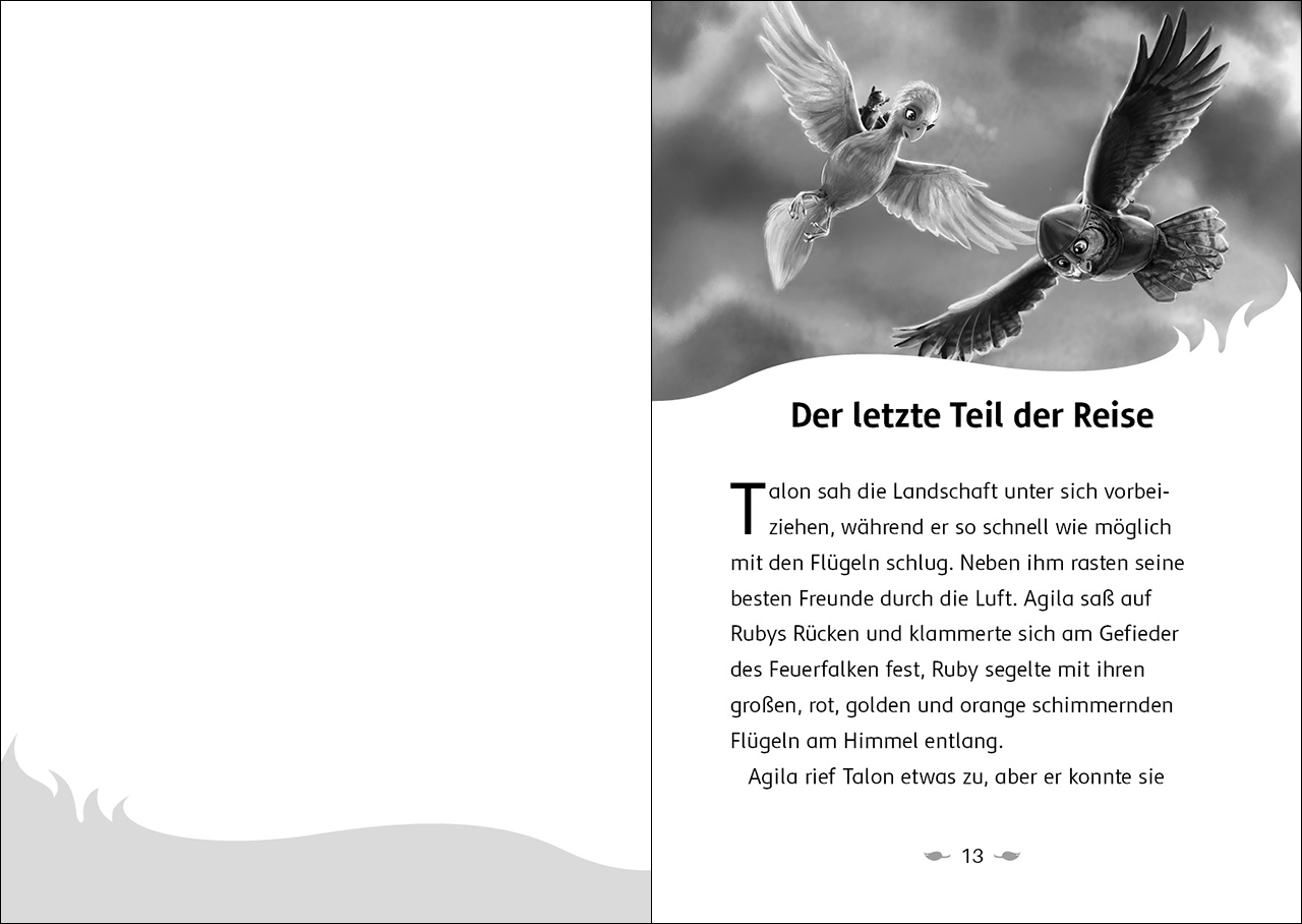 Der letzte Feuerfalke und das Schattenland (Band 5) 9783743214651_1