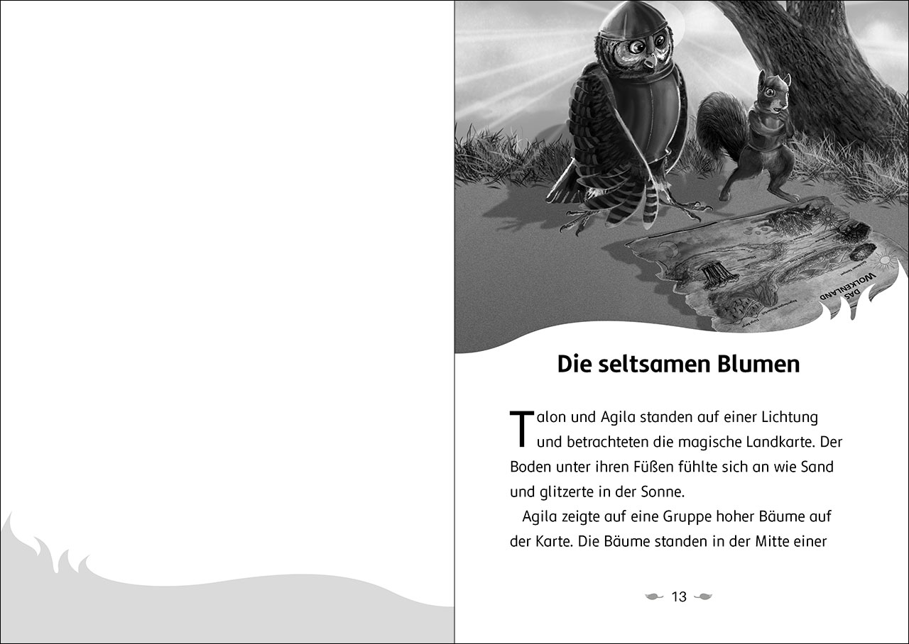 Der letzte Feuerfalke und das Silbermoor (Band 8) 9783743215269_05