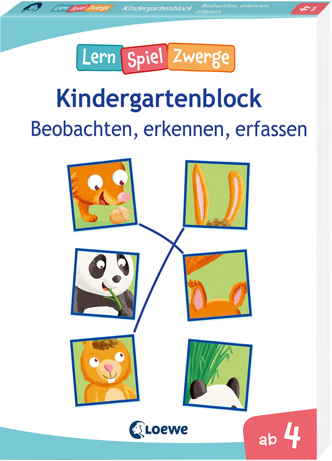 Die neuen LernSpielZwerge - Beobachten, erkennen, erfassen 9783743210851
