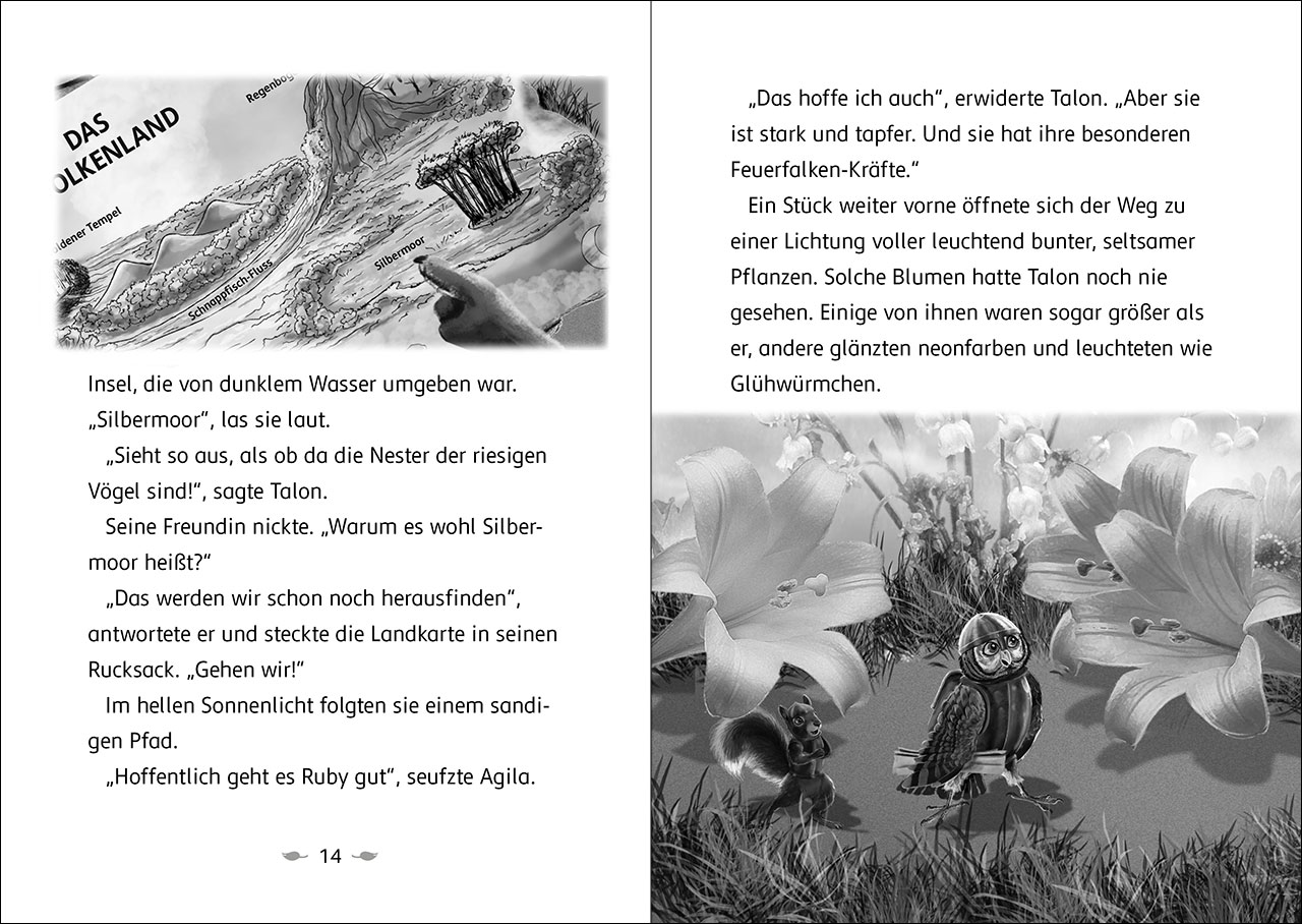 Der letzte Feuerfalke und das Silbermoor (Band 8) 9783743215269_06