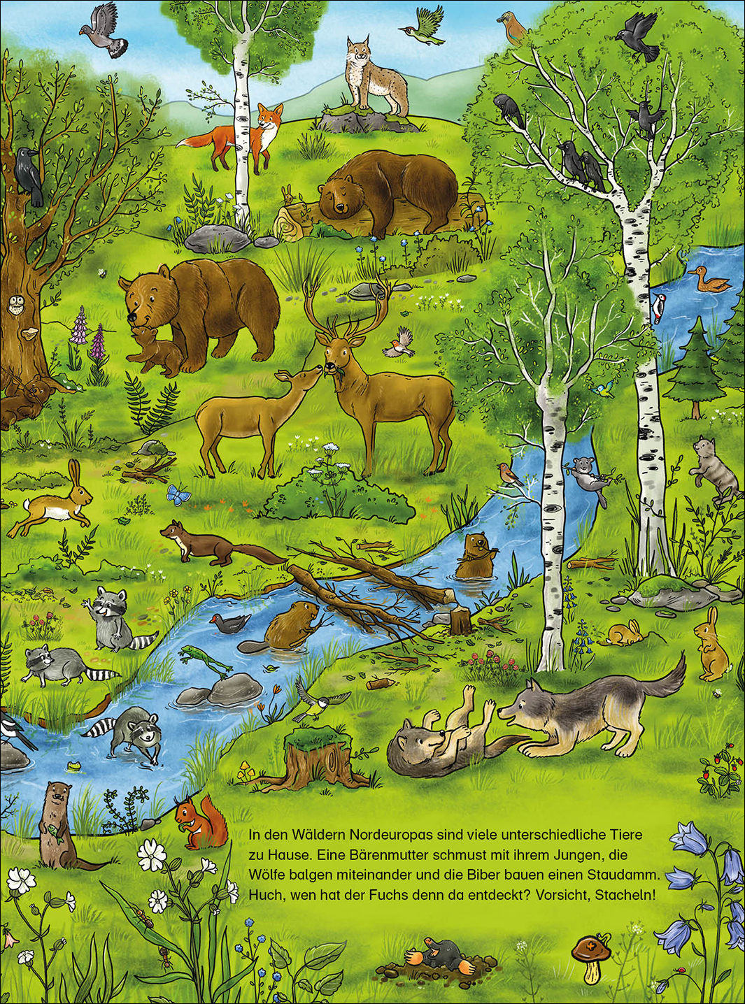 Das große Wimmelbuch der Tiere 9783743210523_2