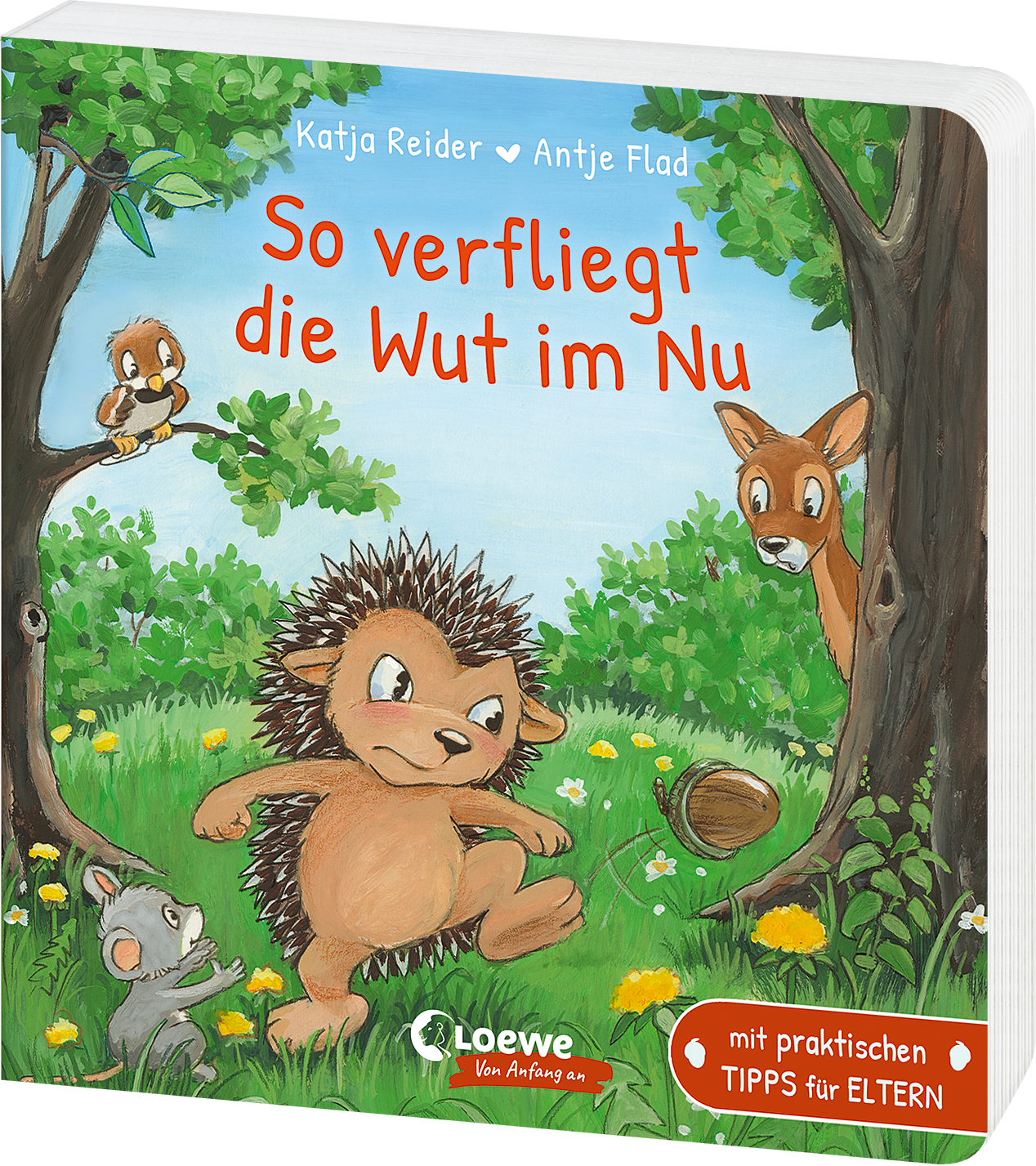 So verfliegt die Wut im Nu 9783743210394 So verfliegt die Wut im Nu 9783743210394