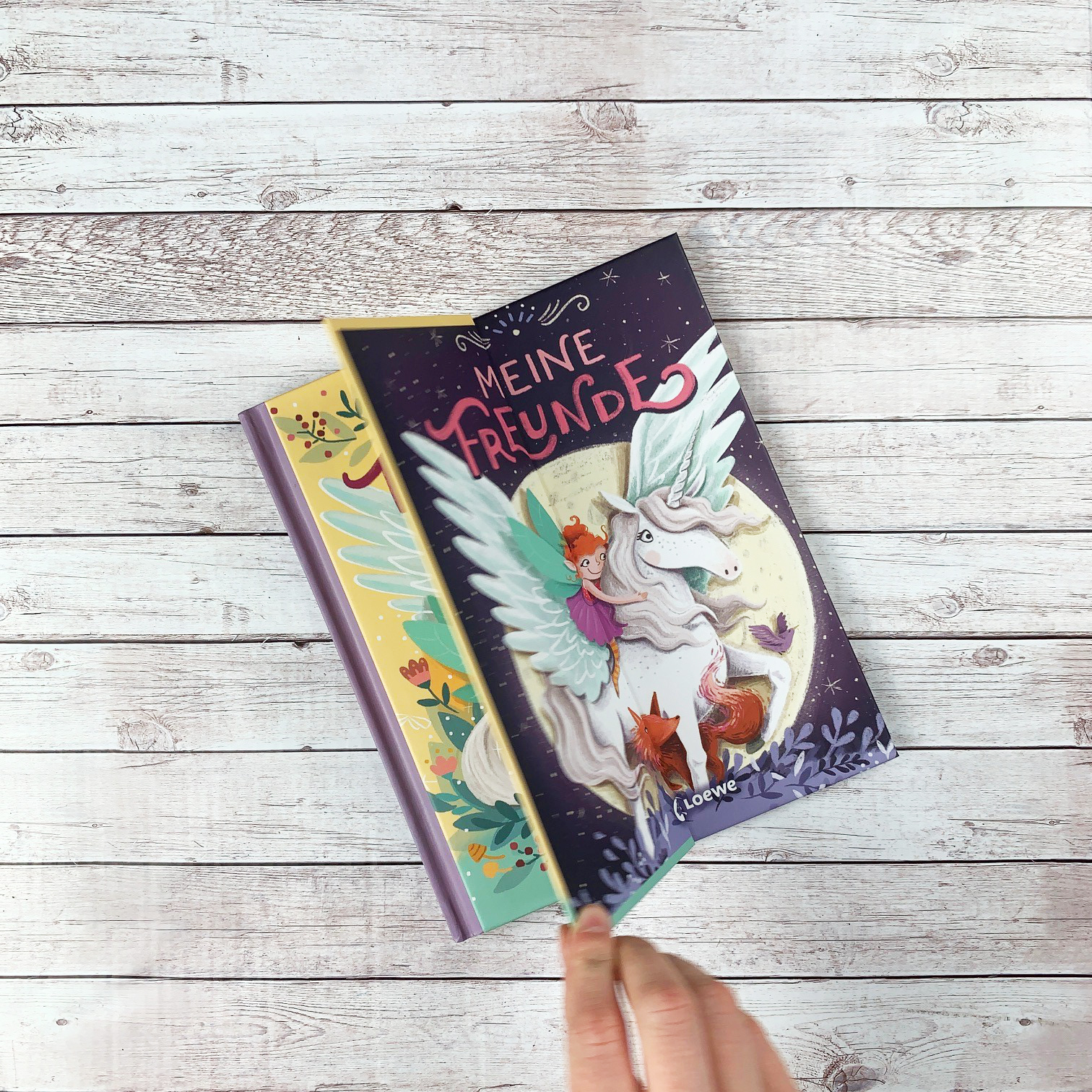 Meine Freunde (Einhorn, Feen & Co.) 9783743206021_7