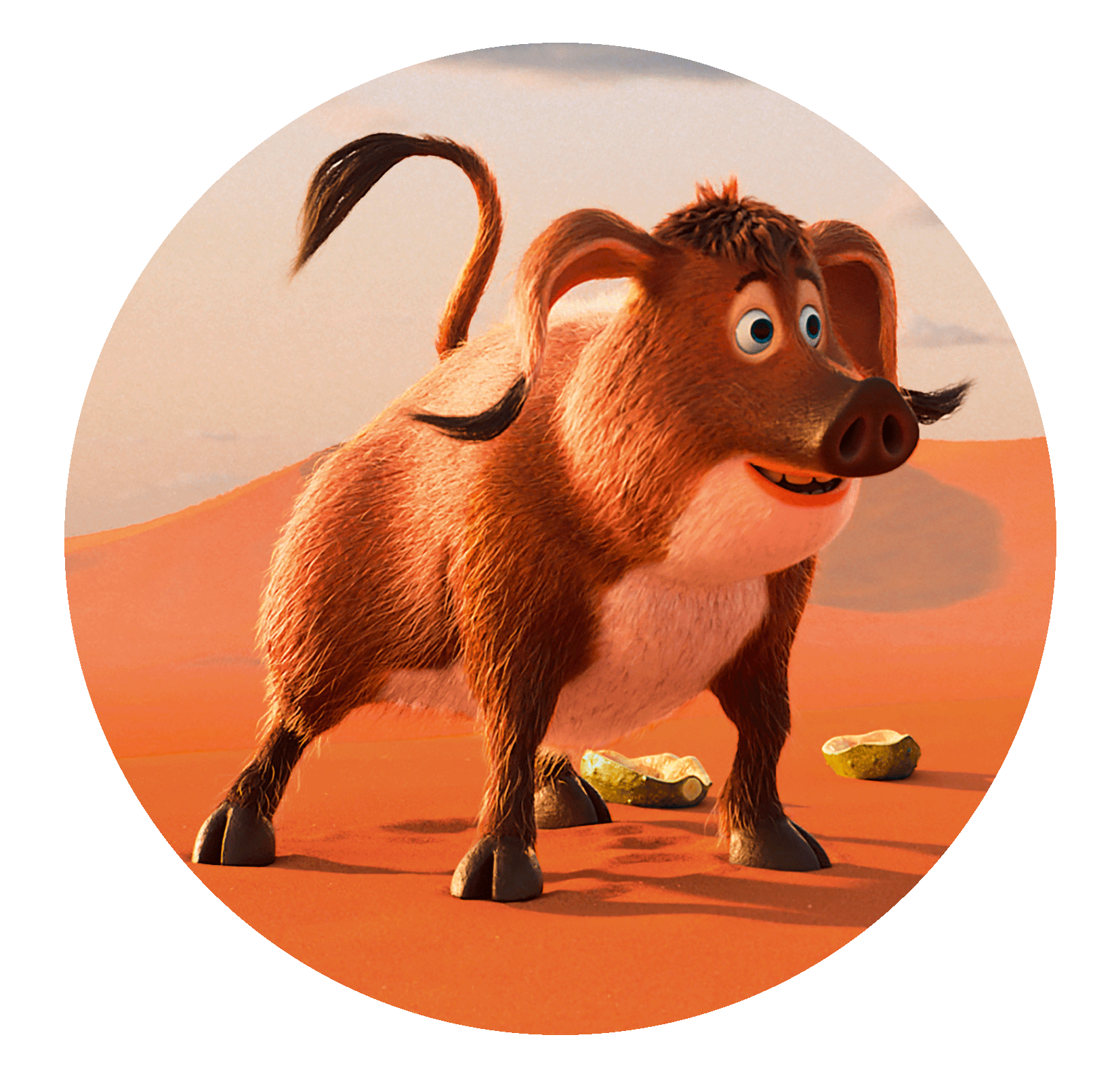 Tafiti; Pinsel Pinselohrschwein Pinsel aus Tafiti