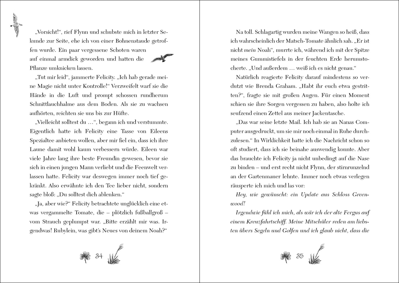 Ruby Fairygale (Band 5) - Der verbotene Zauber 9783743209534_4