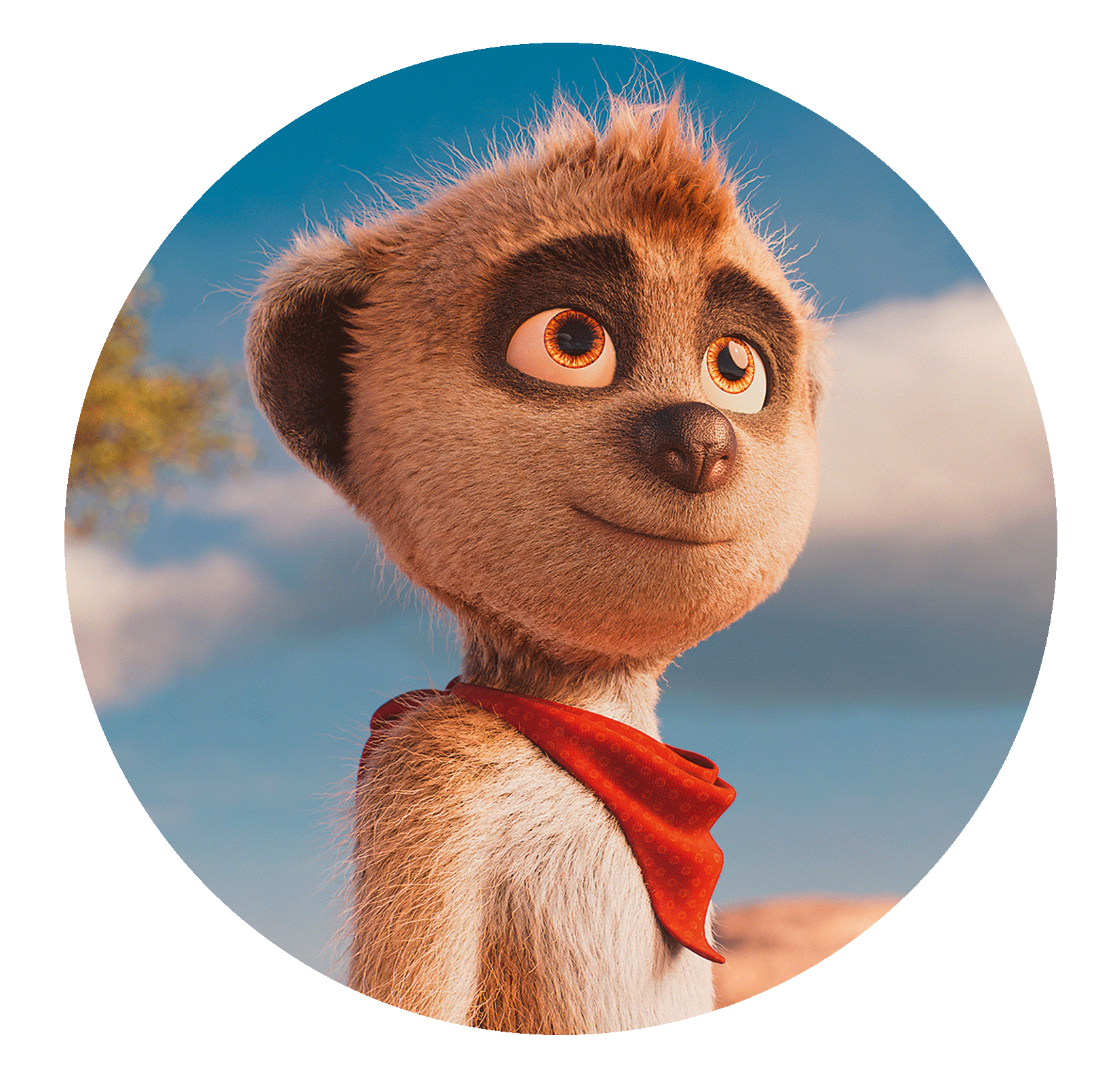 Tafiti; Tafiti Erdmaennchen Tafiti aus Tafiti