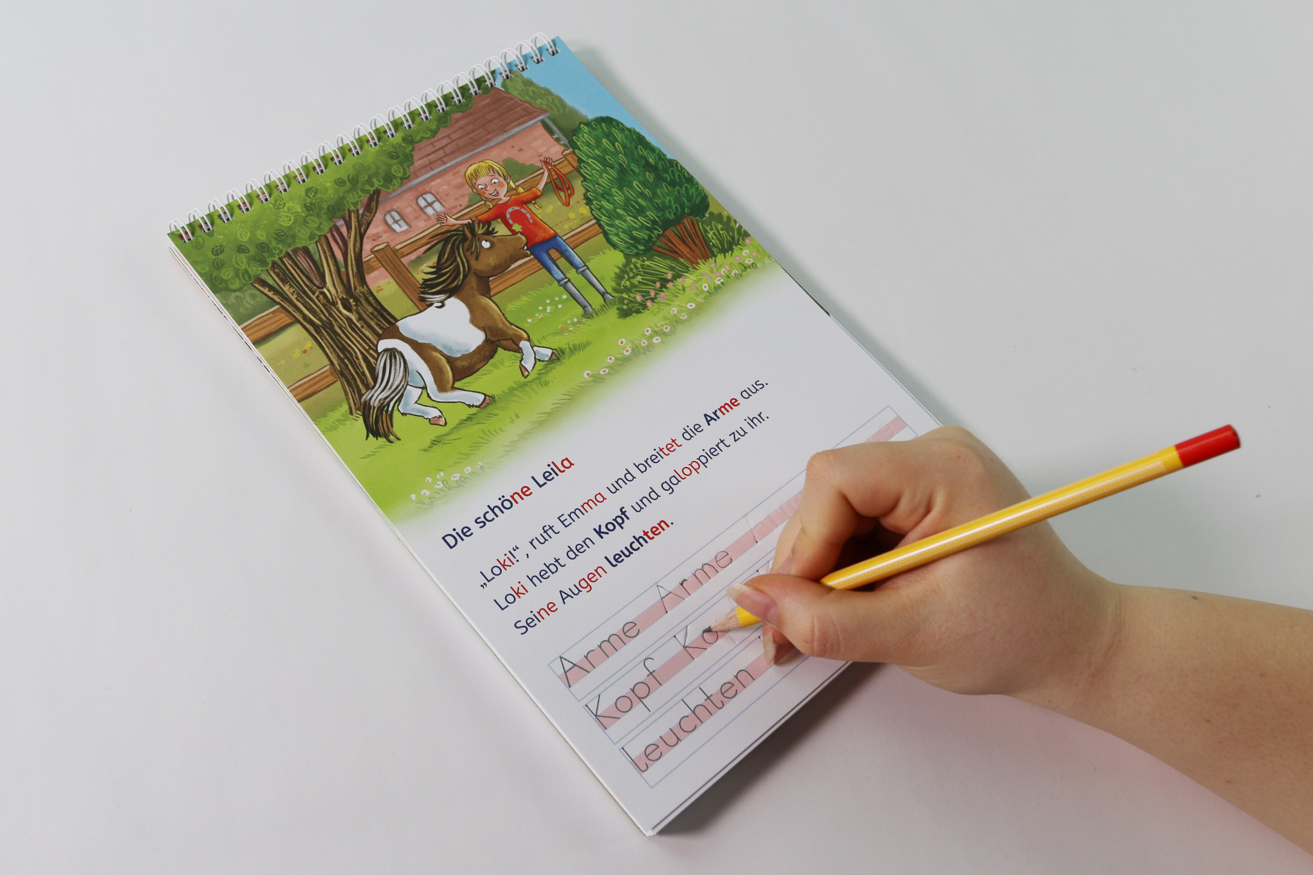 Produktfoto Lesen und schreiben lernen mit Spurrillen Eine Ponystarke Freundschaft; Linkziel: Landingpage Lesen und schreiben lernen mit Spurrillen