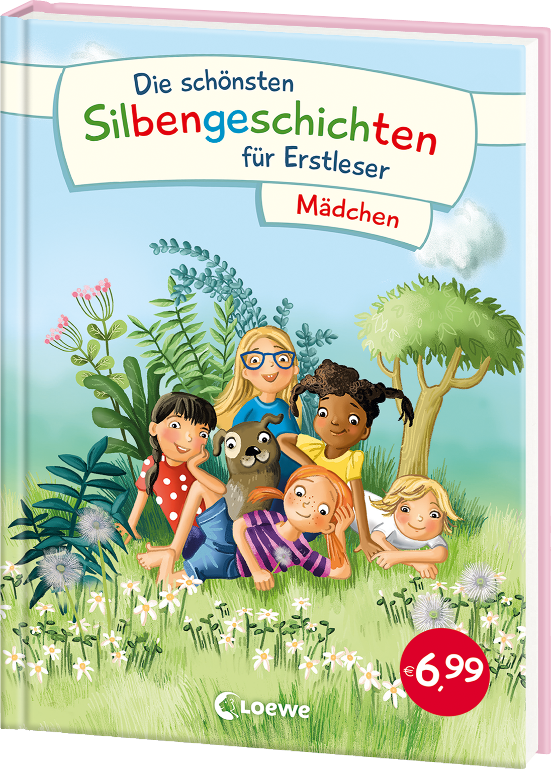Die schönsten Silbengeschichten für Erstleser - Mädchen 9783743210042 Die schönsten Silbengeschichten für Erstleser - Mädchen 9783743210042