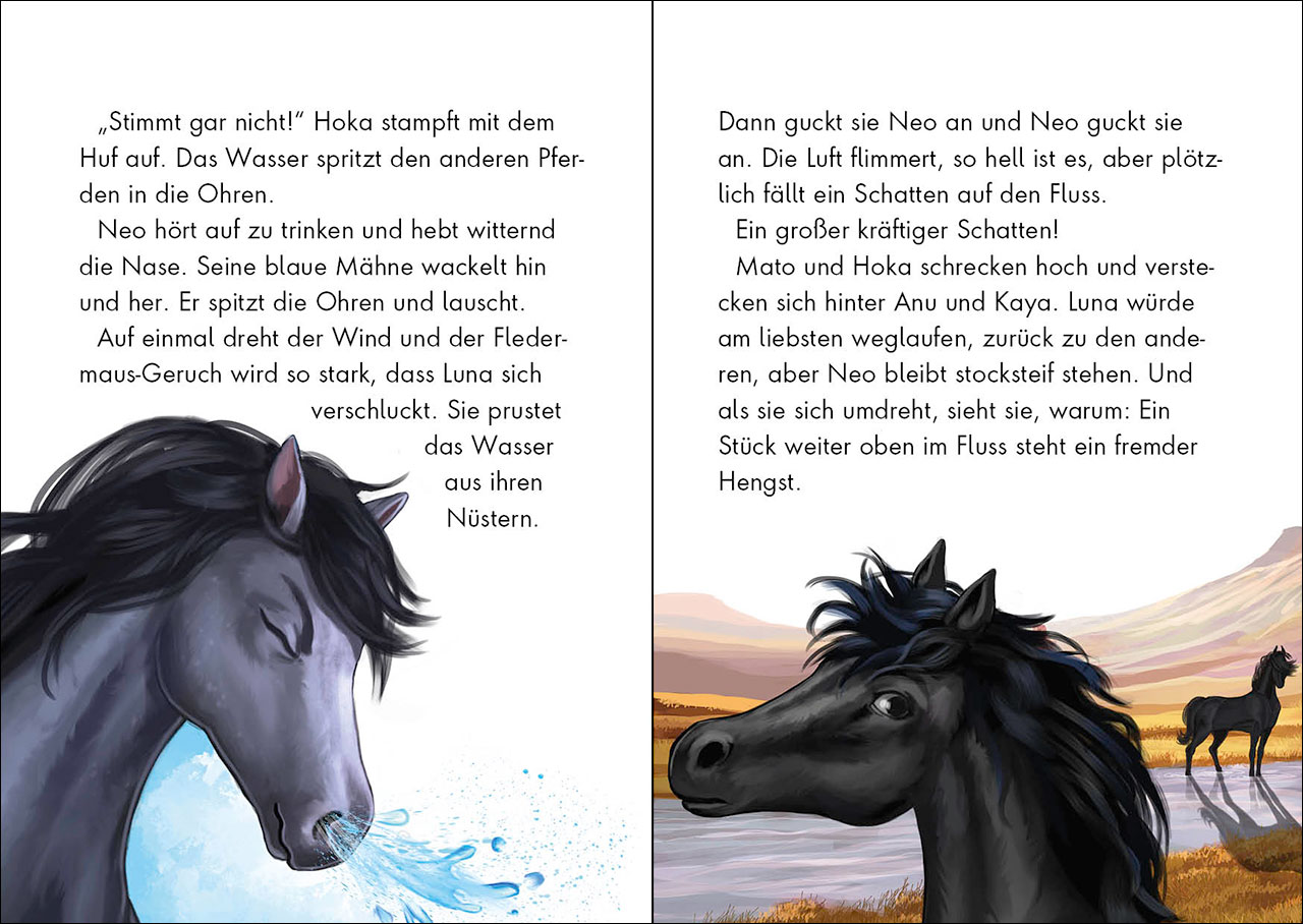 Wildpferde - mutig und frei (Band 2) - Im Tal der Gefahren  9783743211872_2