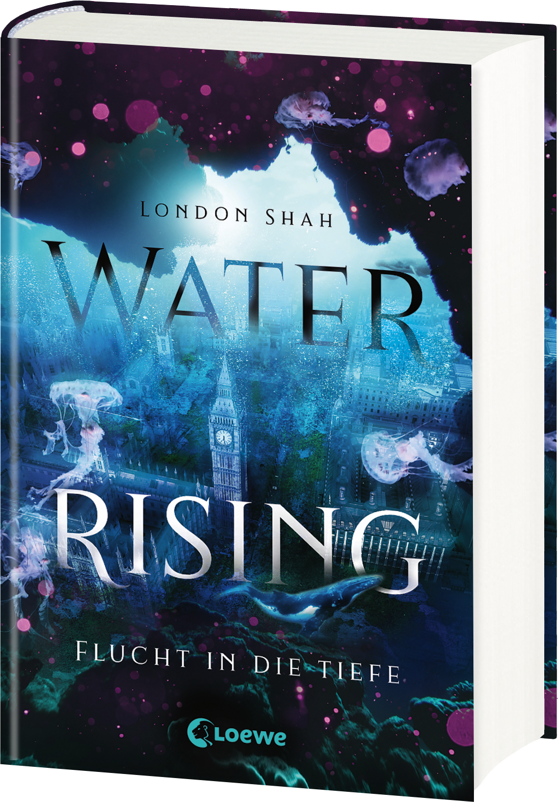 Water Rising (Band 1) - Flucht in die Tiefe 9783743208575