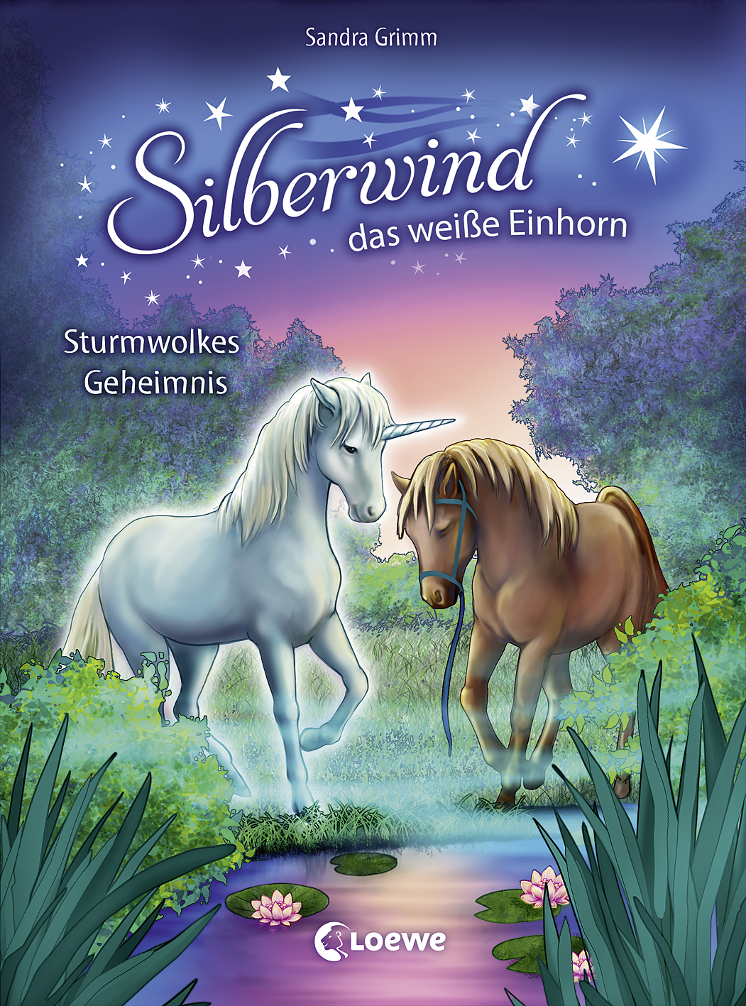Silberwind, das weiße Einhorn (Band 4) - Sturmwolkes Geheimnis 9783732011322