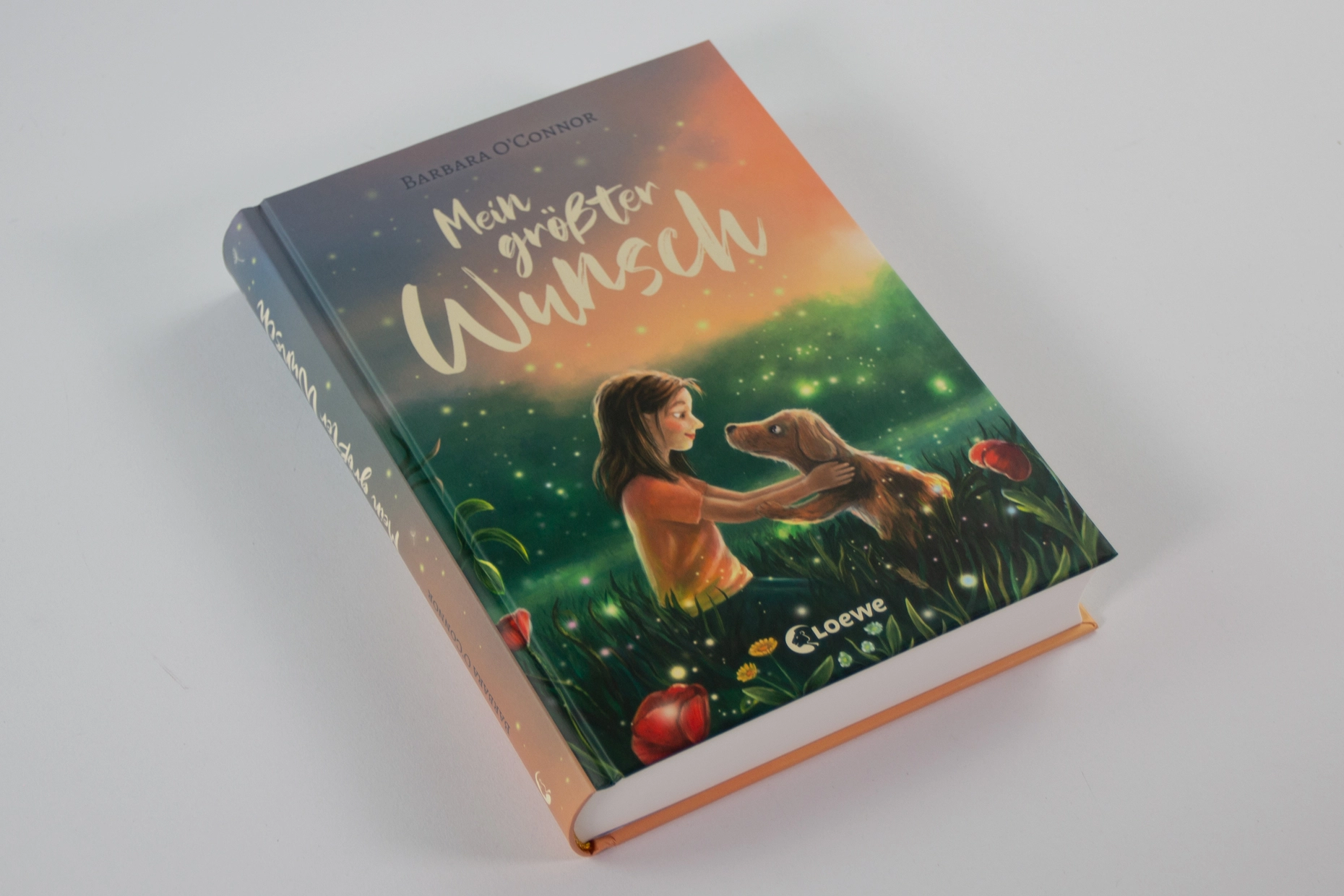 Mein größter Wunsch 9783743221482_04