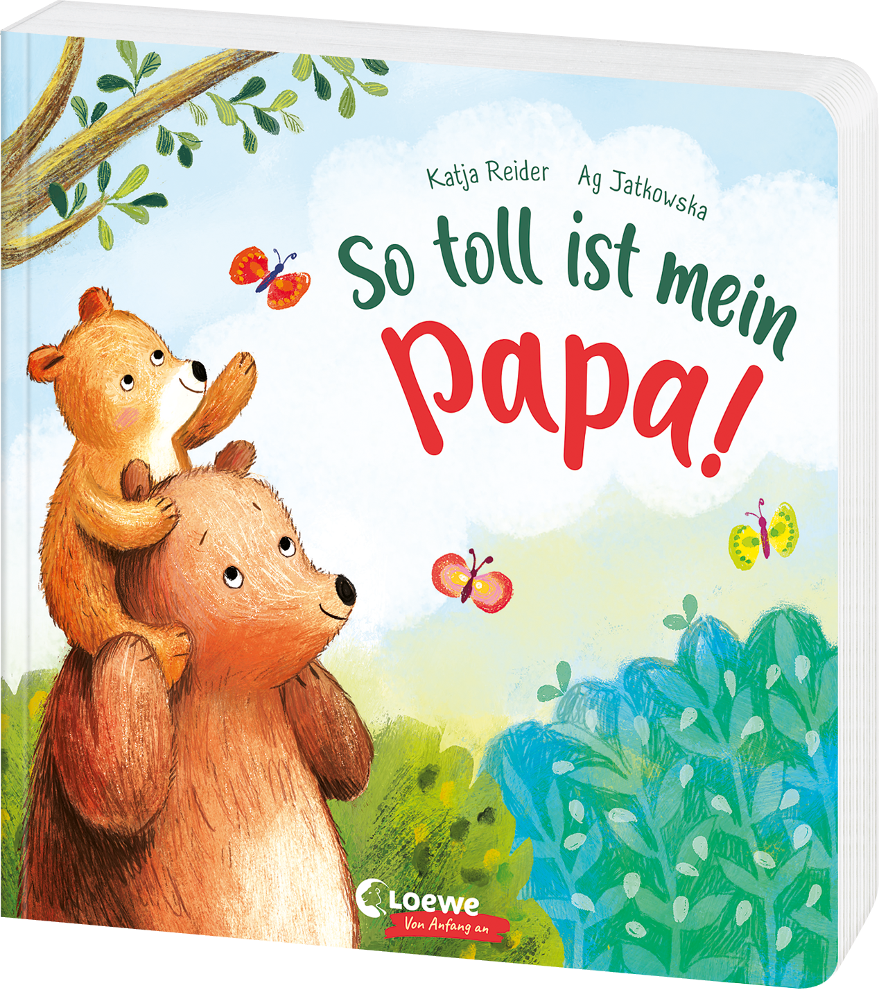 So toll ist mein Papa! 9783743207776