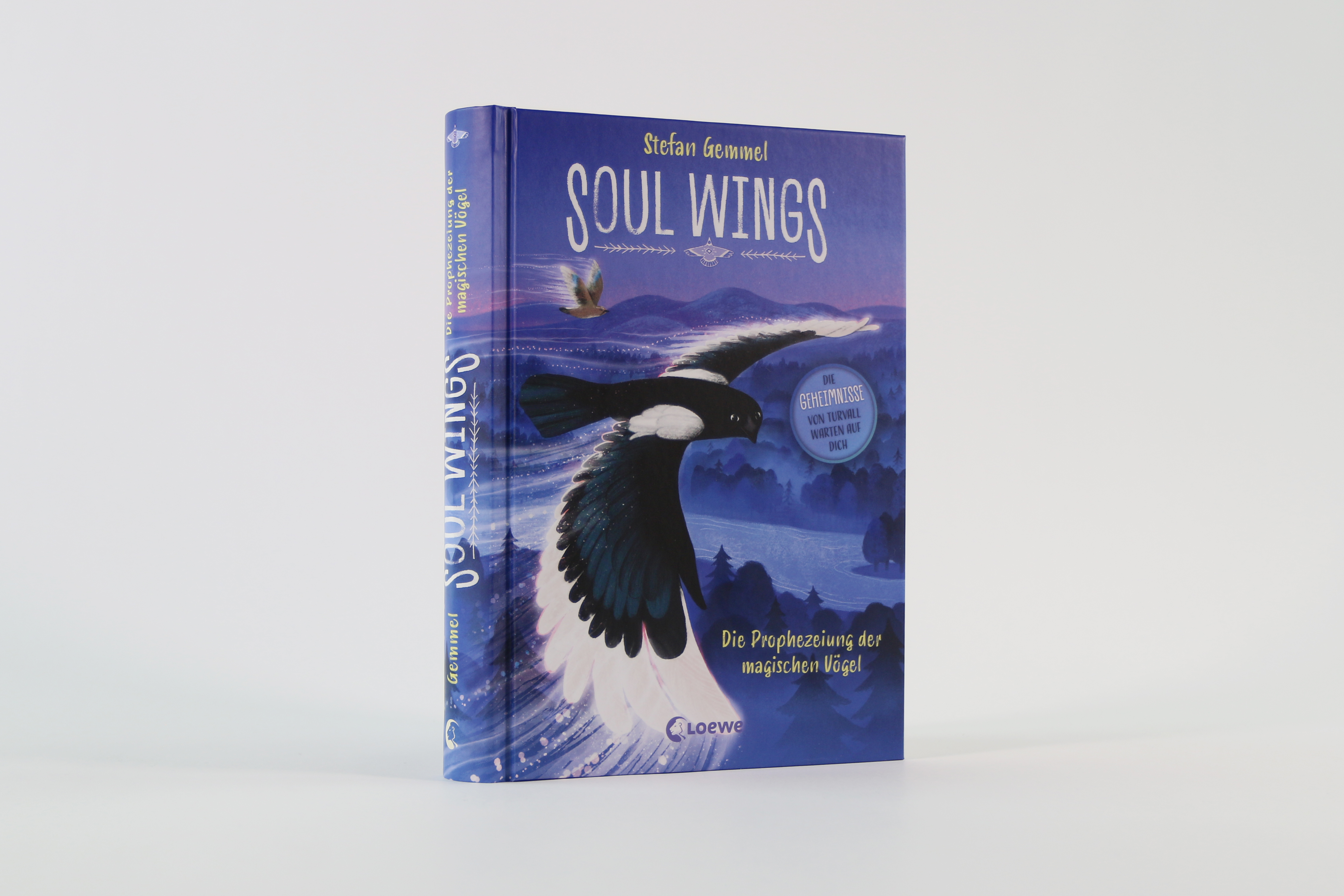 Soul Wings (Band 1) - Die Prophezeiung der magischen Vögel 9783743222809_04