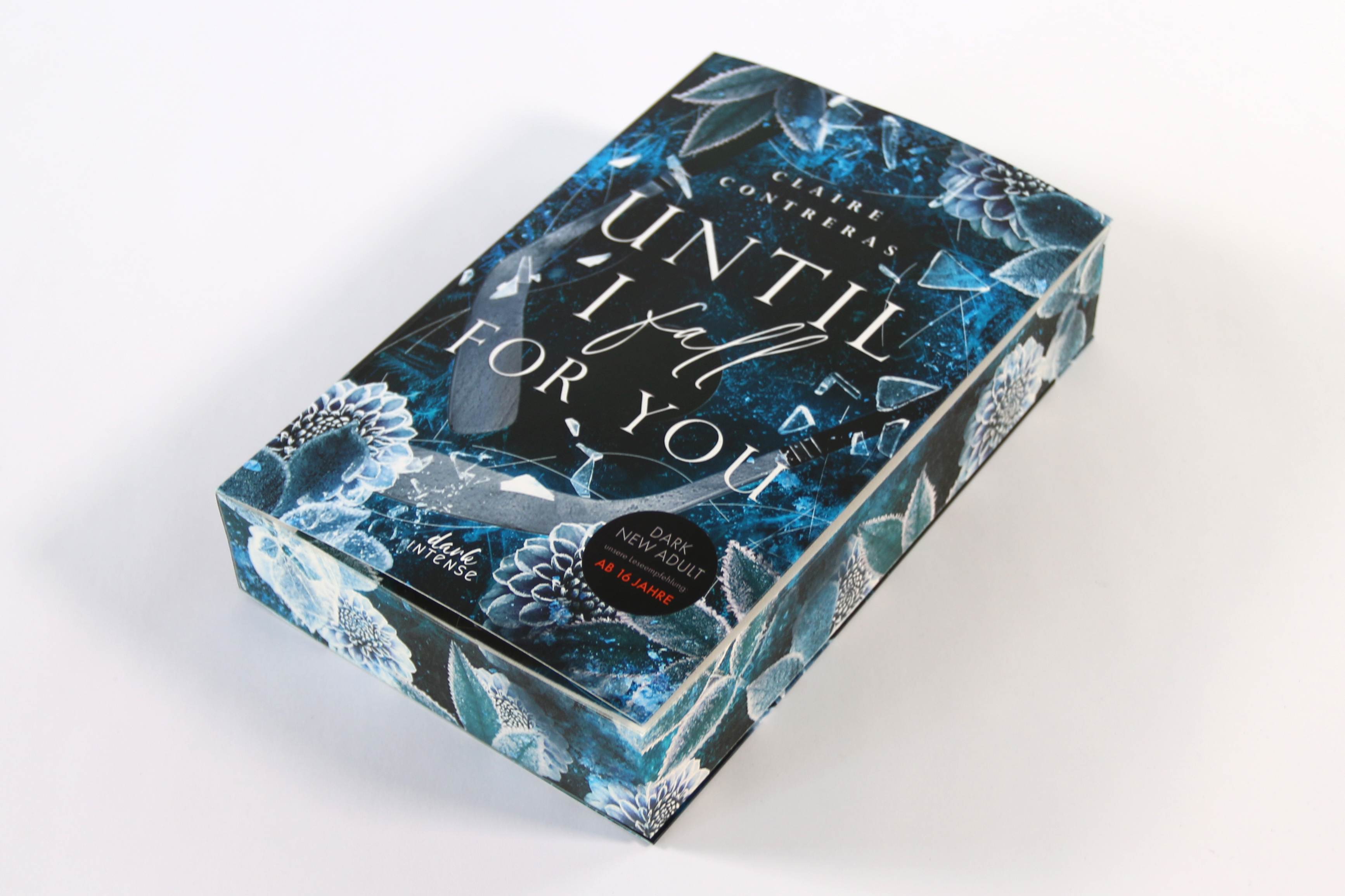 Until I Fall For You (Fairview Hockey, Band 2) 9783743223196_05