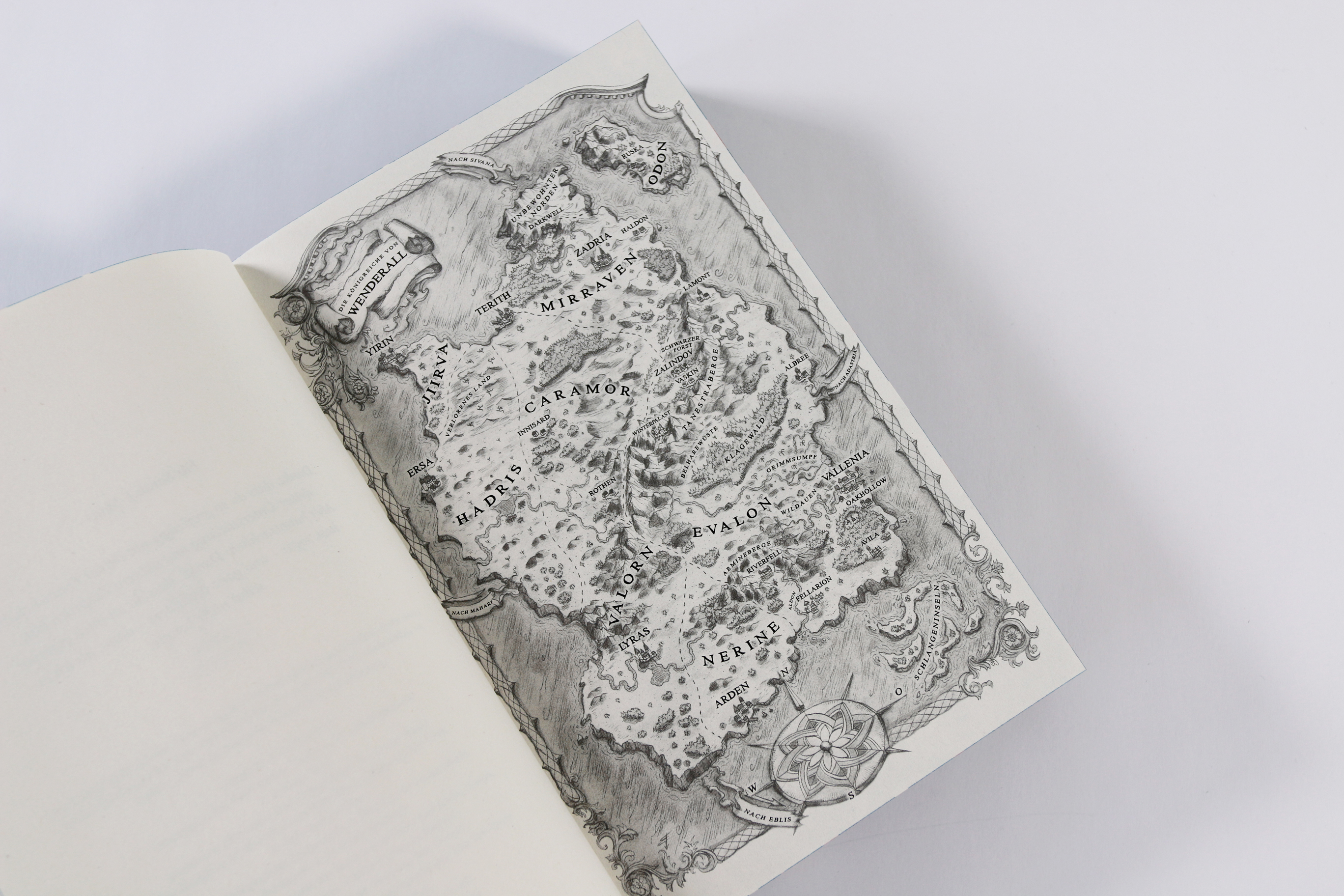 Prison Healer (Band 1) - Die Schattenheilerin 9783743225787_07