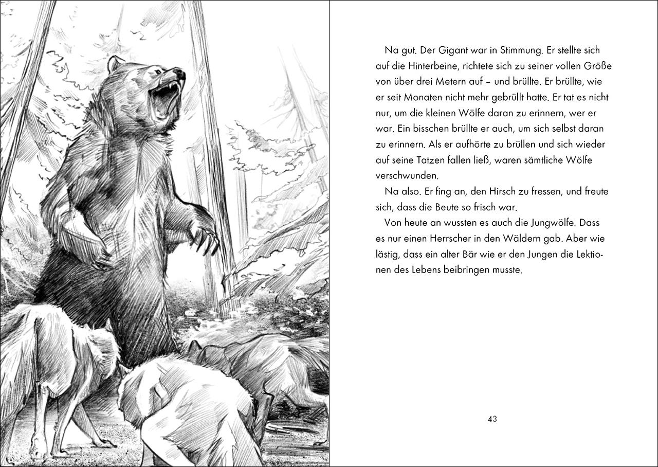 Das geheime Leben der Tiere (Wald) - König der Bären 9783743208384_4