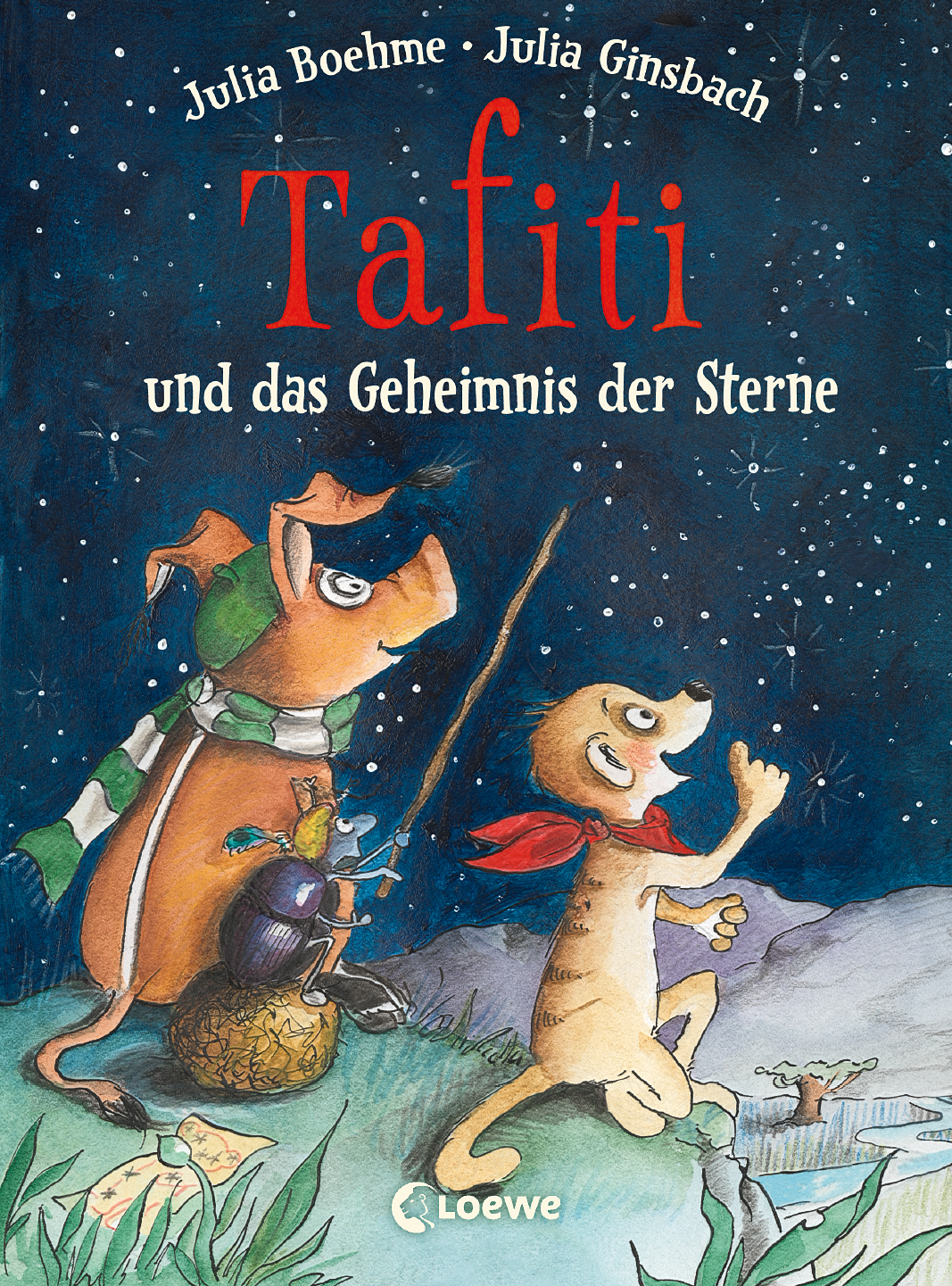 Tafiti und das Geheimnis der Sterne (Band 14) 9783732014293