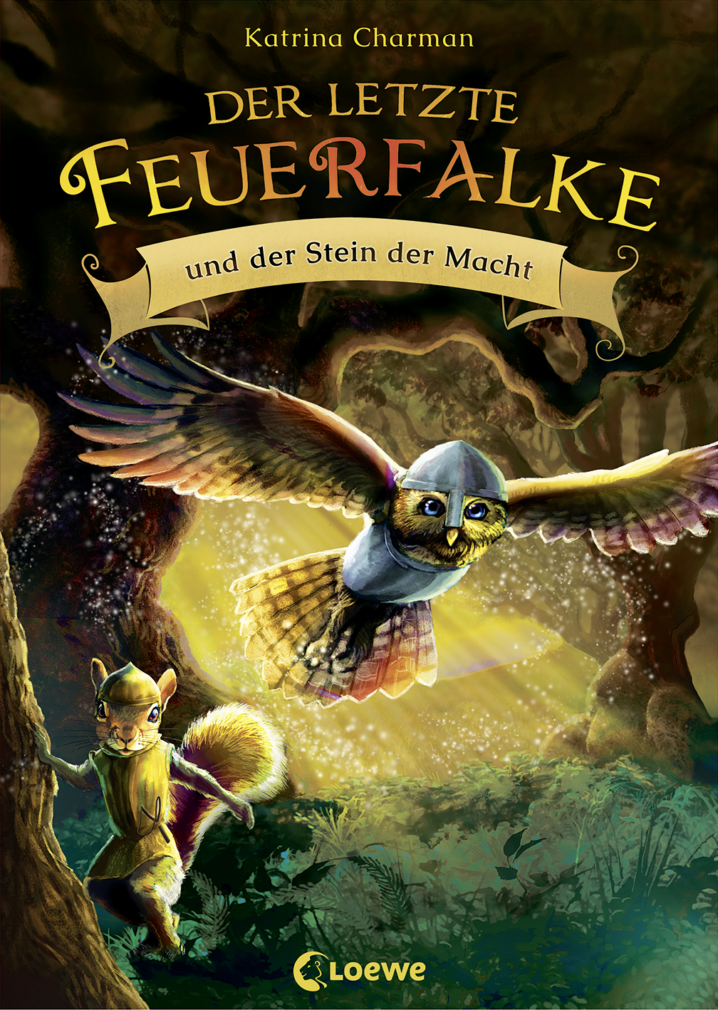 Der letzte Feuerfalke und der Stein der Macht (Band 1) 9783732015528