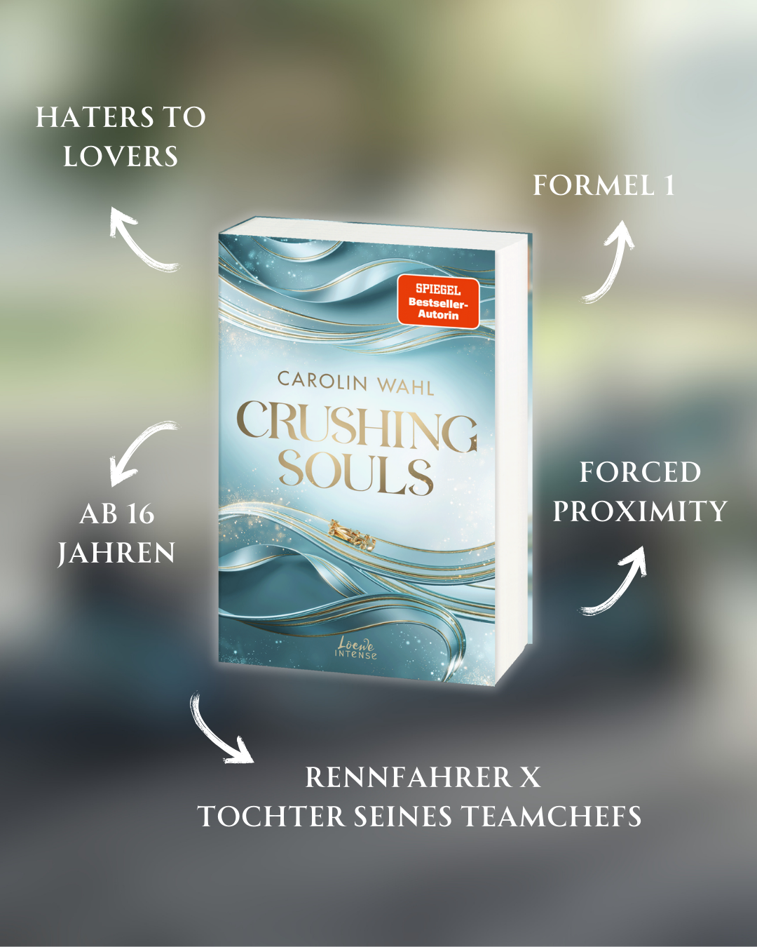 Crushing Souls (Driven Dreams-Dilogie, Band 1) 9783743221123_02