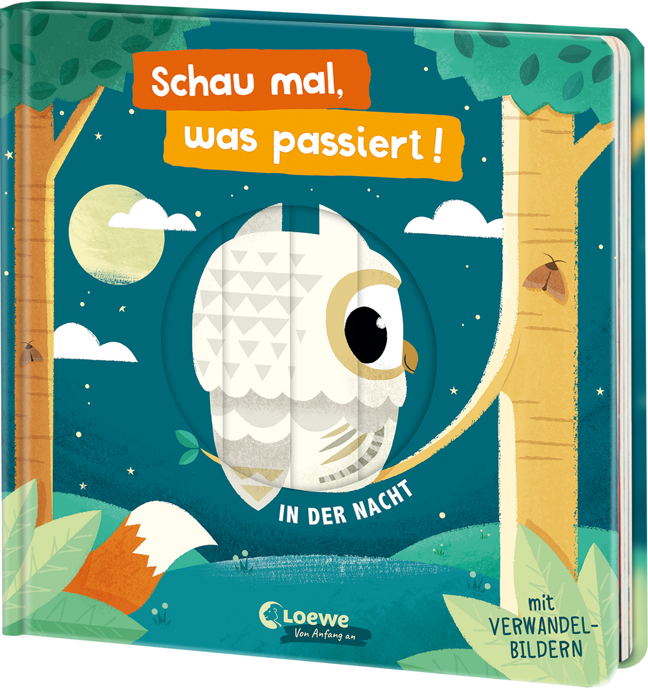 Schau mal, was passiert! In der Nacht 9783743222175