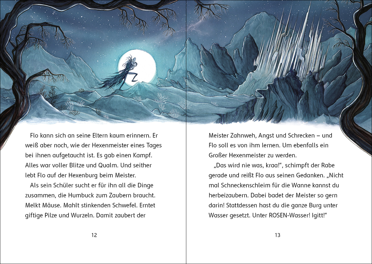 Der Zauberschüler (Band 1) - Fluch des Hexenmeisters 9783743211896_3