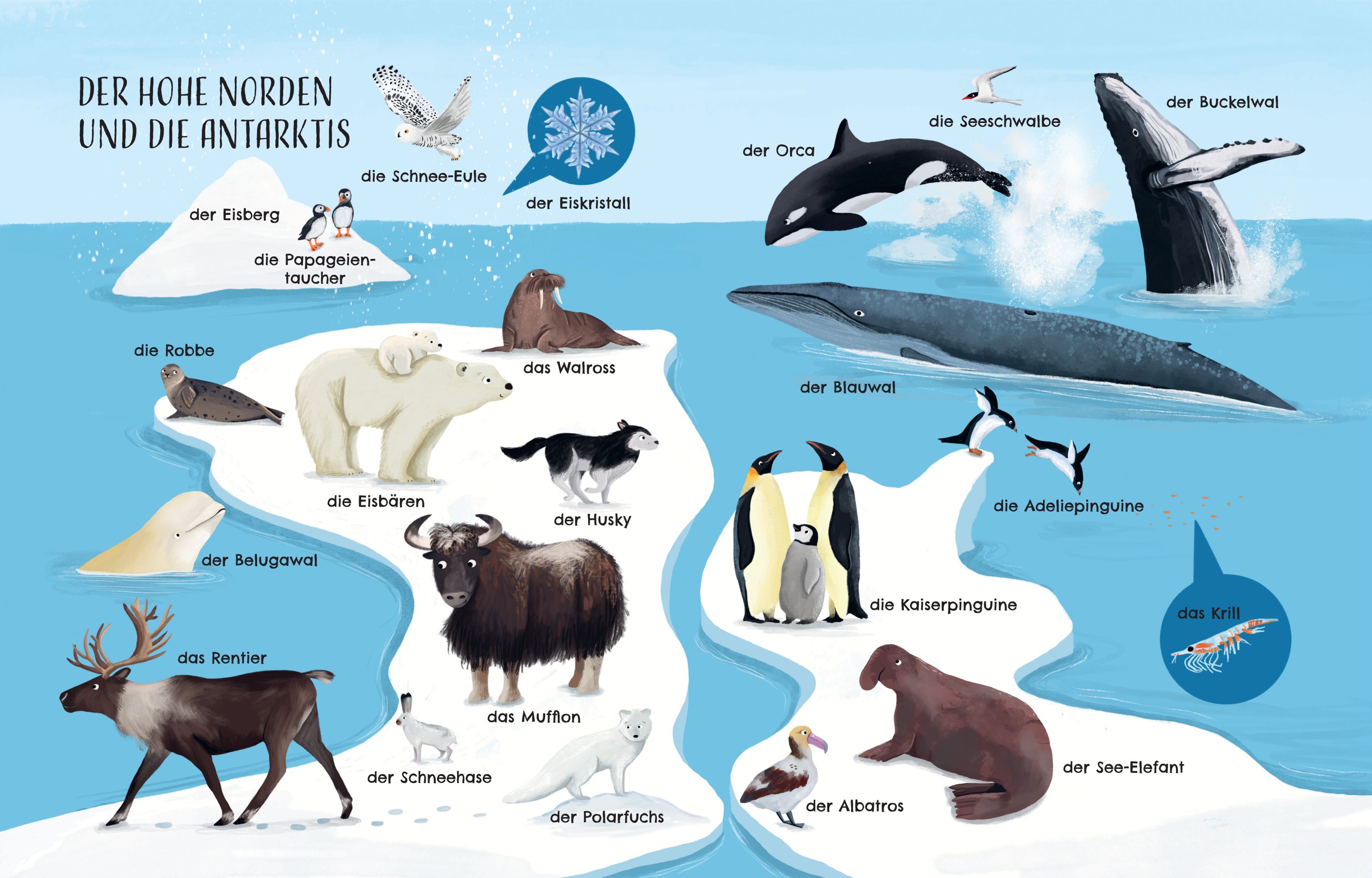 Innenseite des Buches "Entdecke die Welt der Tiere - Mein schönstes Bildwörterbuch"