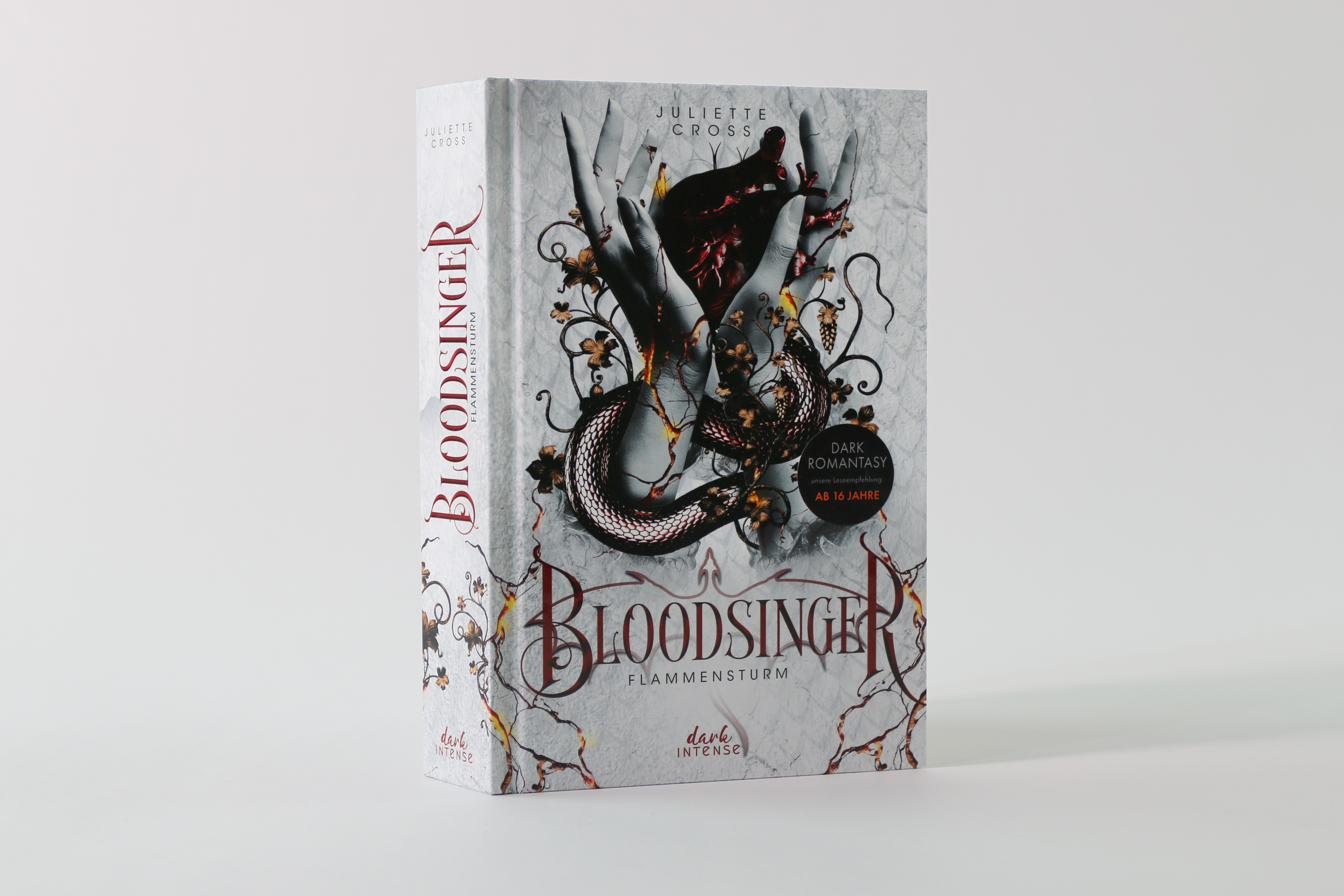 Flammensturm (Band 2) - Bloodsinger 9783743223127_04