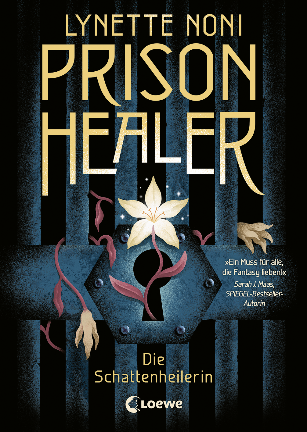 Prison Healer (Band 1) - Die Schattenheilerin 9783732017508