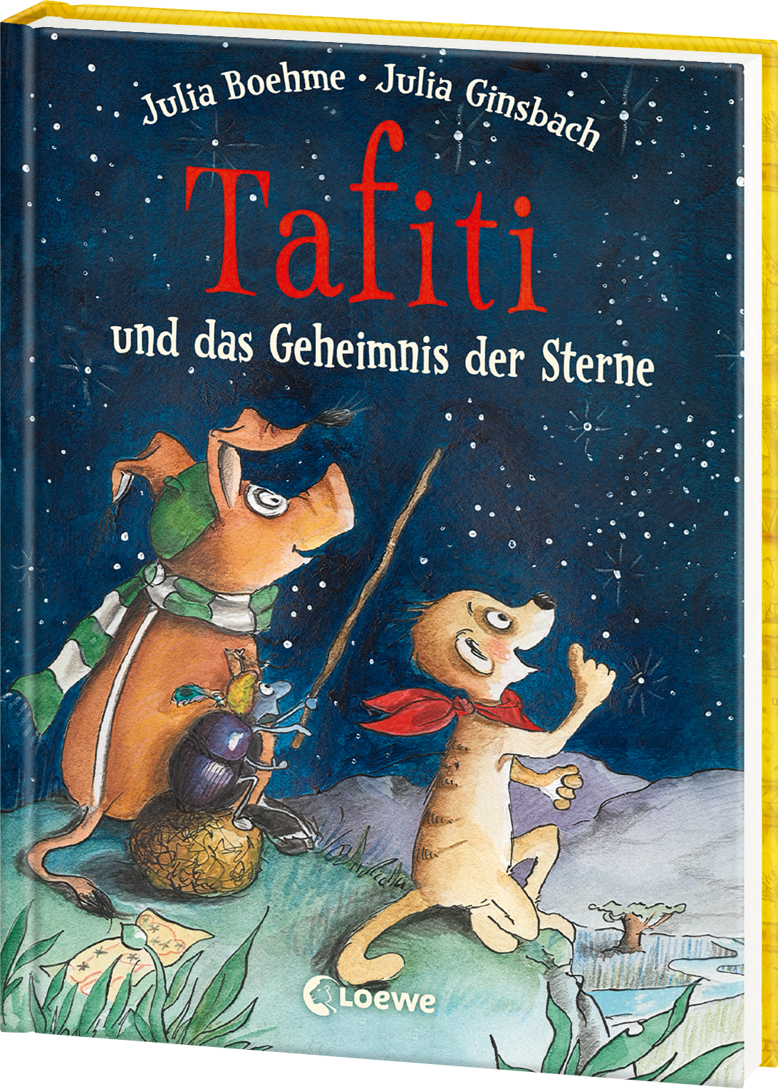 Tafiti und das Geheimnis der Sterne (Band 14) 9783743203846
