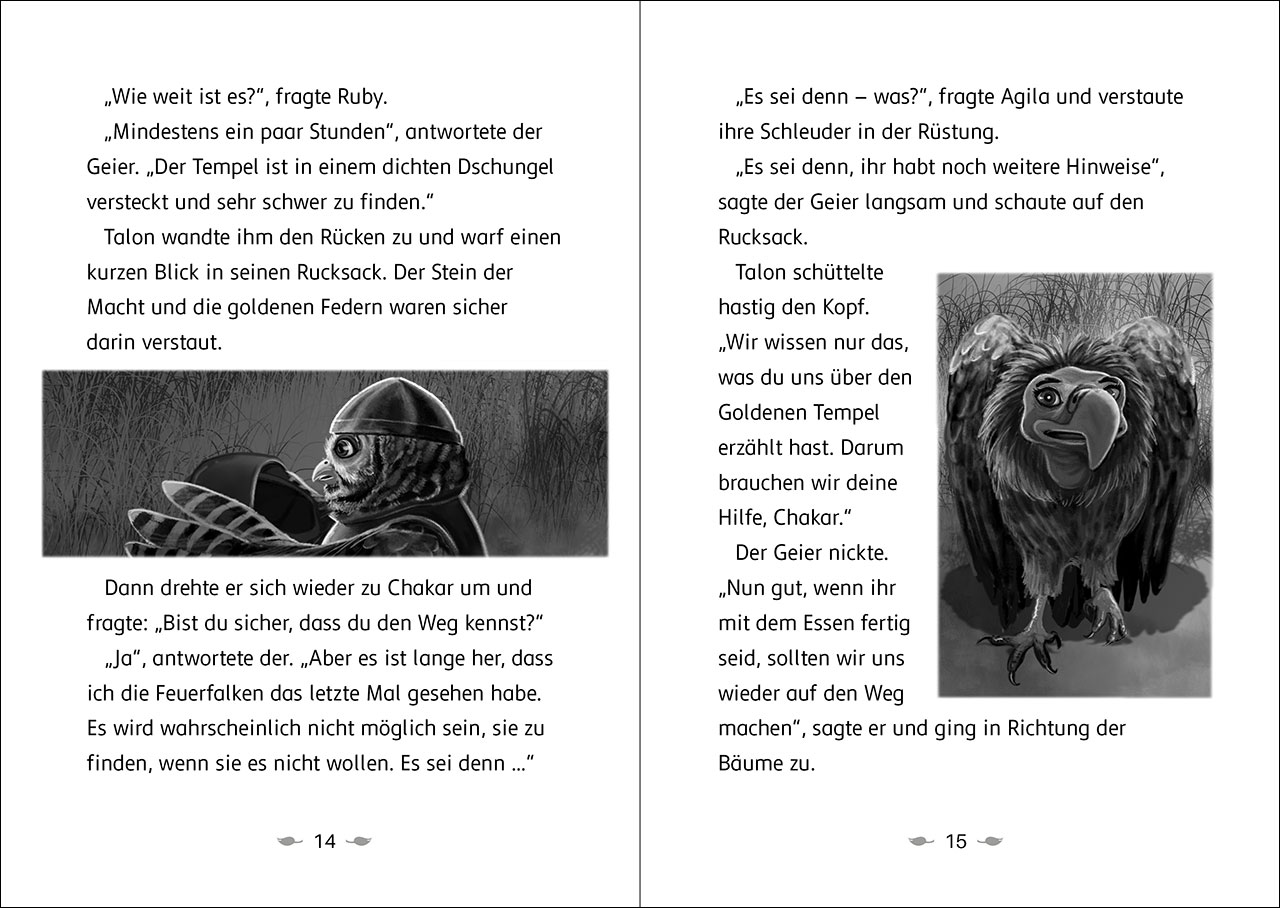Der letzte Feuerfalke und der goldene Tempel (Band 9) 9783743217577_06