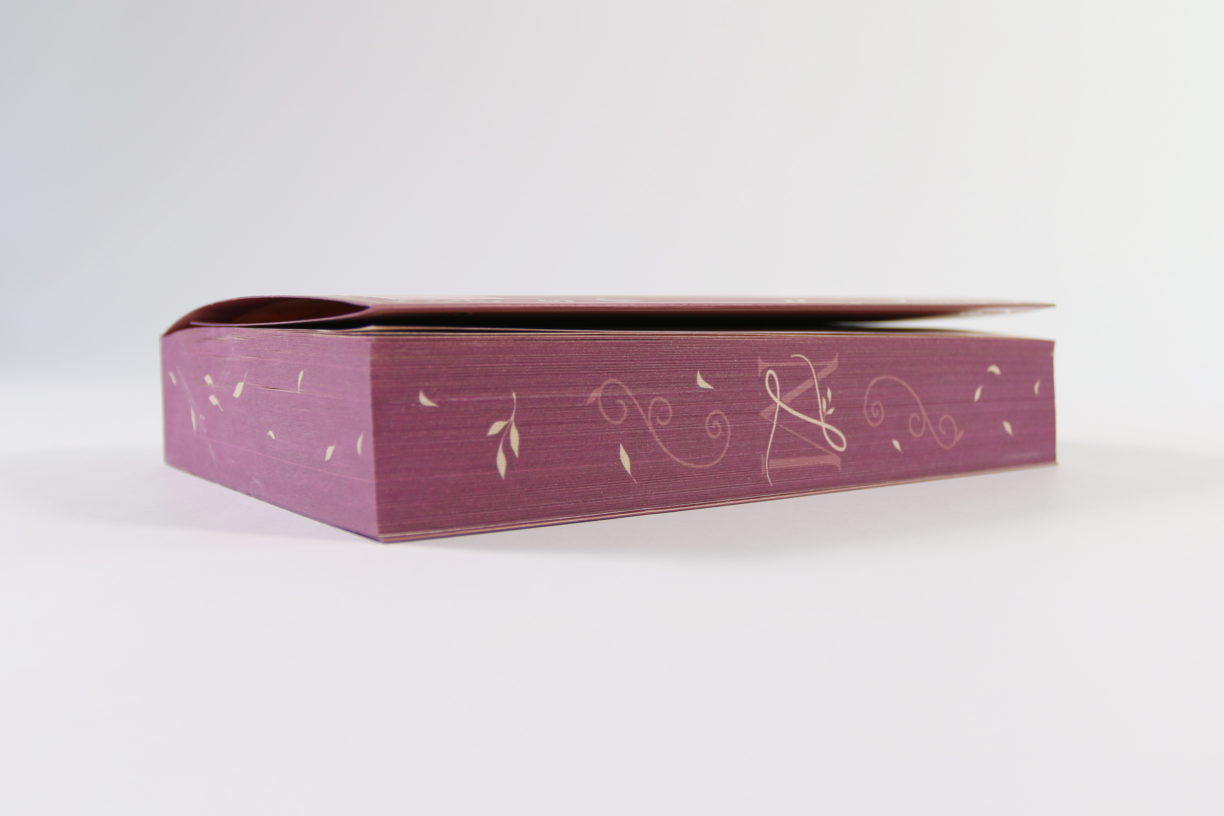 Mont Lacroix (Band 1) - Longing for Lelibeth 9783743217690_05