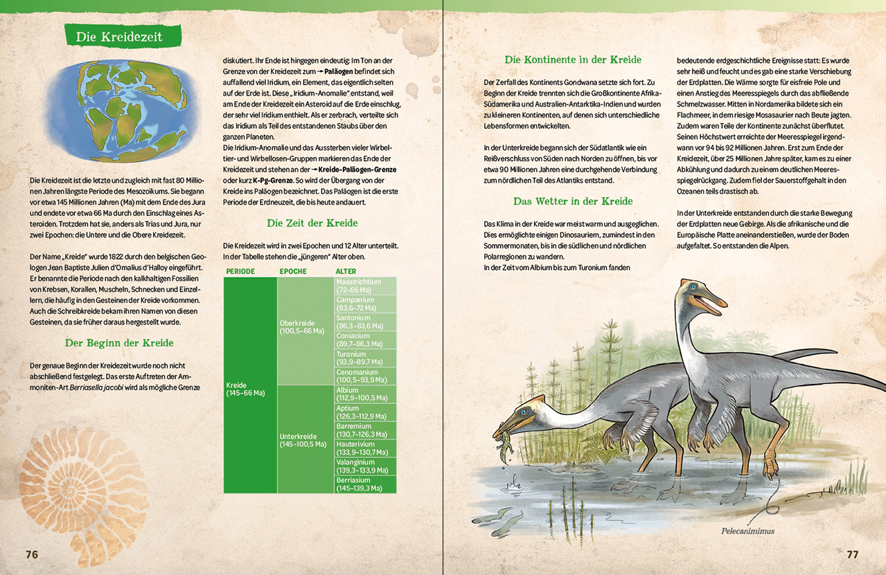 Dinosaurier. Gigantisch, gefährlich, großartig 9783743221314_14
